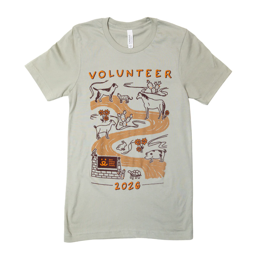 2026 Volunteer T-Shirt