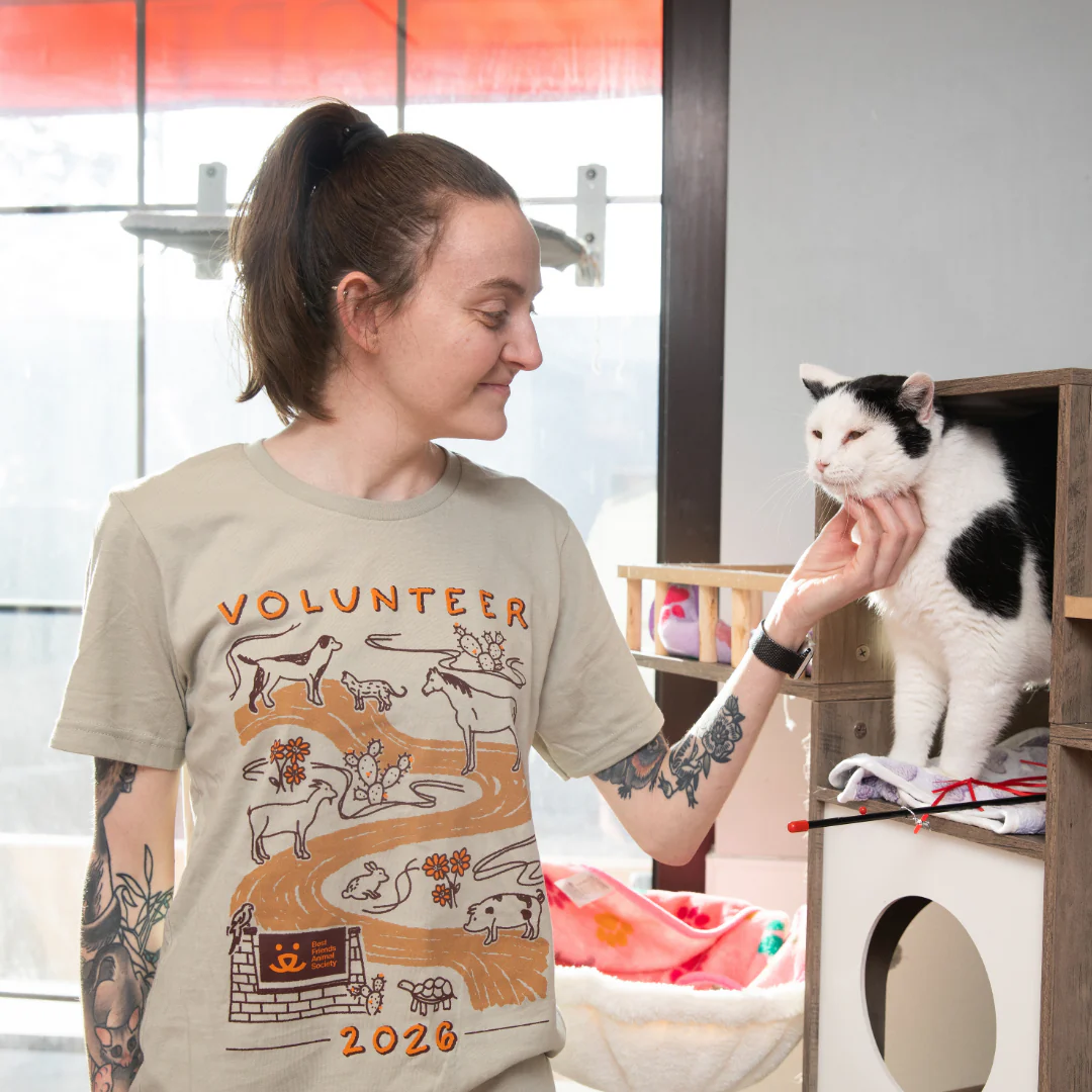 2026 Volunteer T-Shirt - Image 2