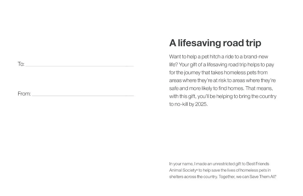 A Lifesaving Road Trip - Image 4