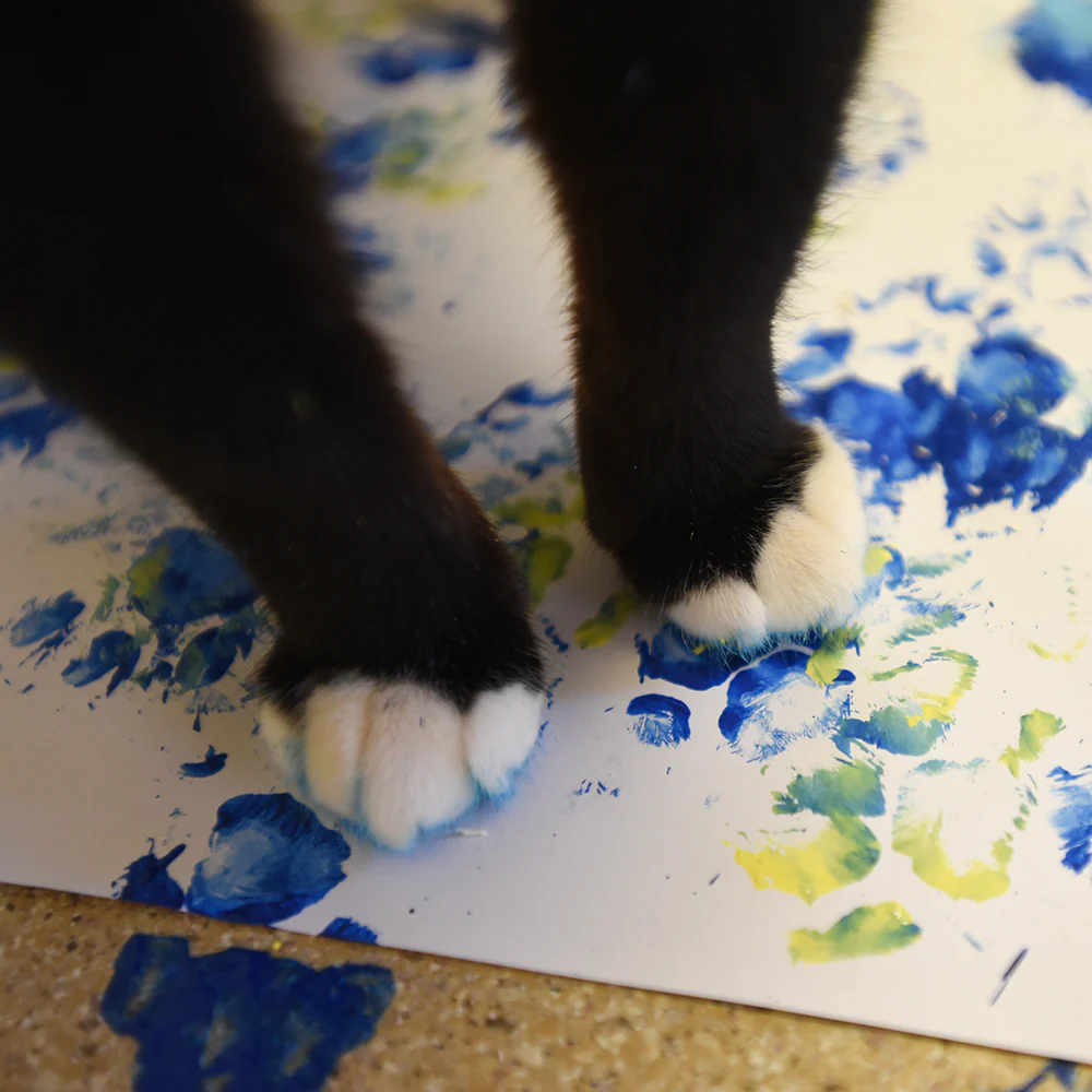 Animal Art Notecard Set - Image 14