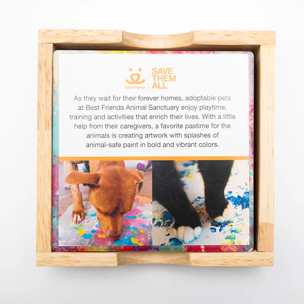 Animal Art Stone Coaster Set - Image 3