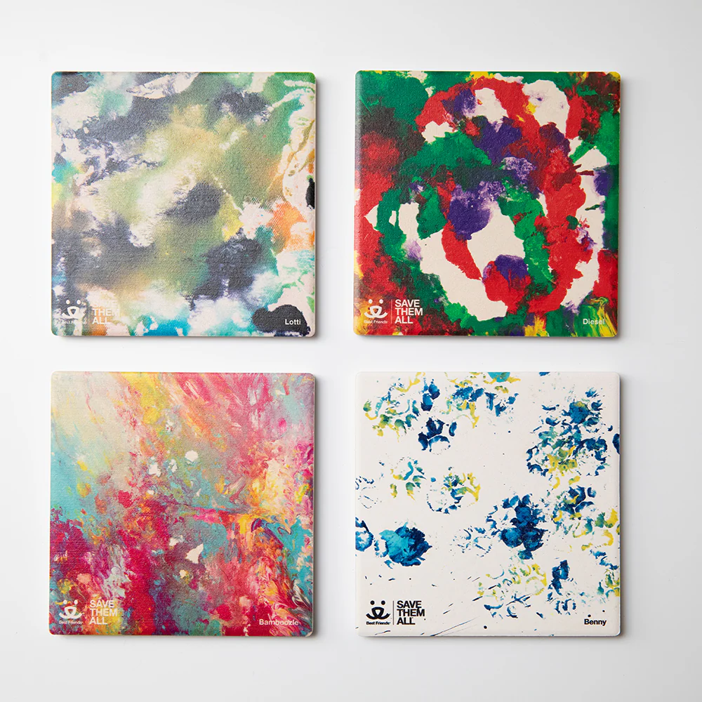 Animal Art Stone Coaster Set - Image 4