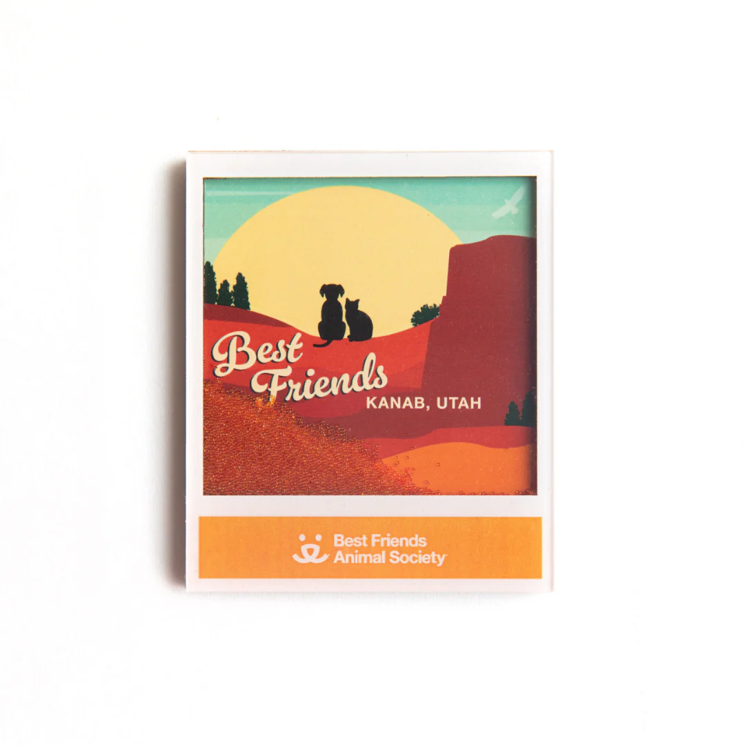 Best Friends Flowing Sand Magnet