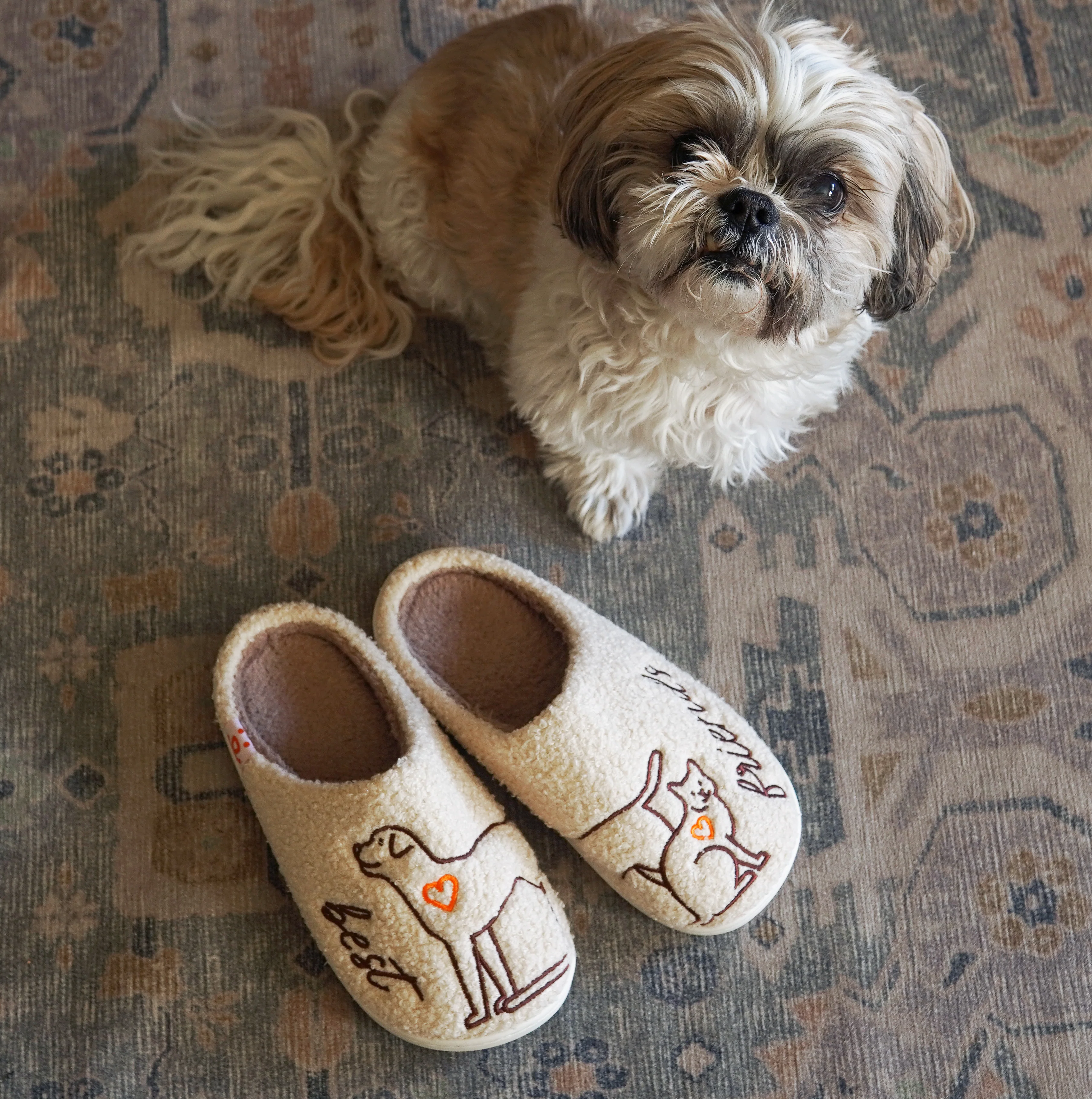 Best Friends Slippers - Image 4