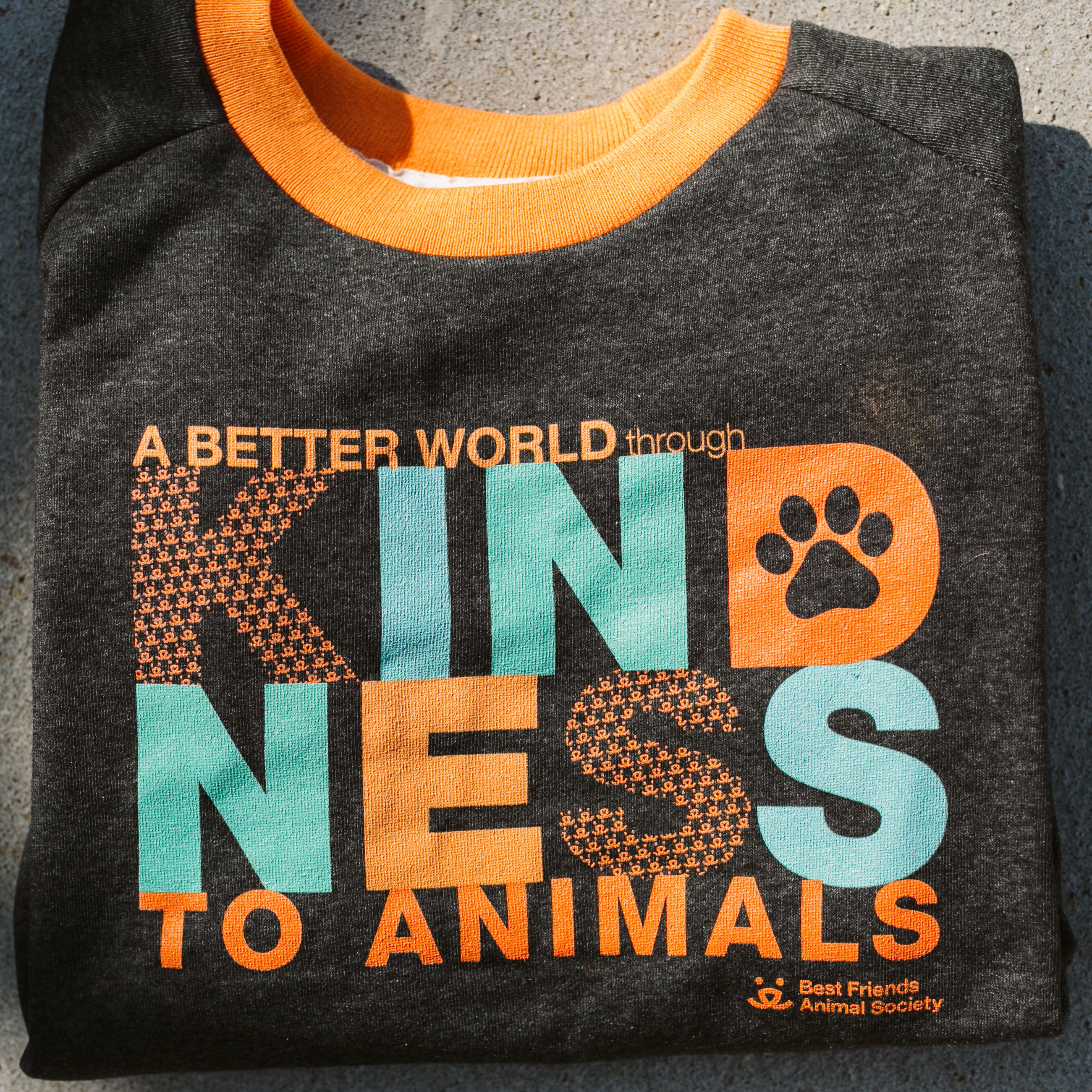Best Friends x CAMP Collection Kindness Sweatshirt - Image 6
