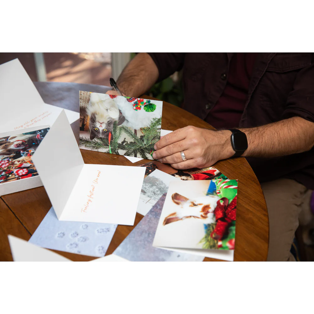 Boxed Holiday Fur & Feathers Cards - Image 5