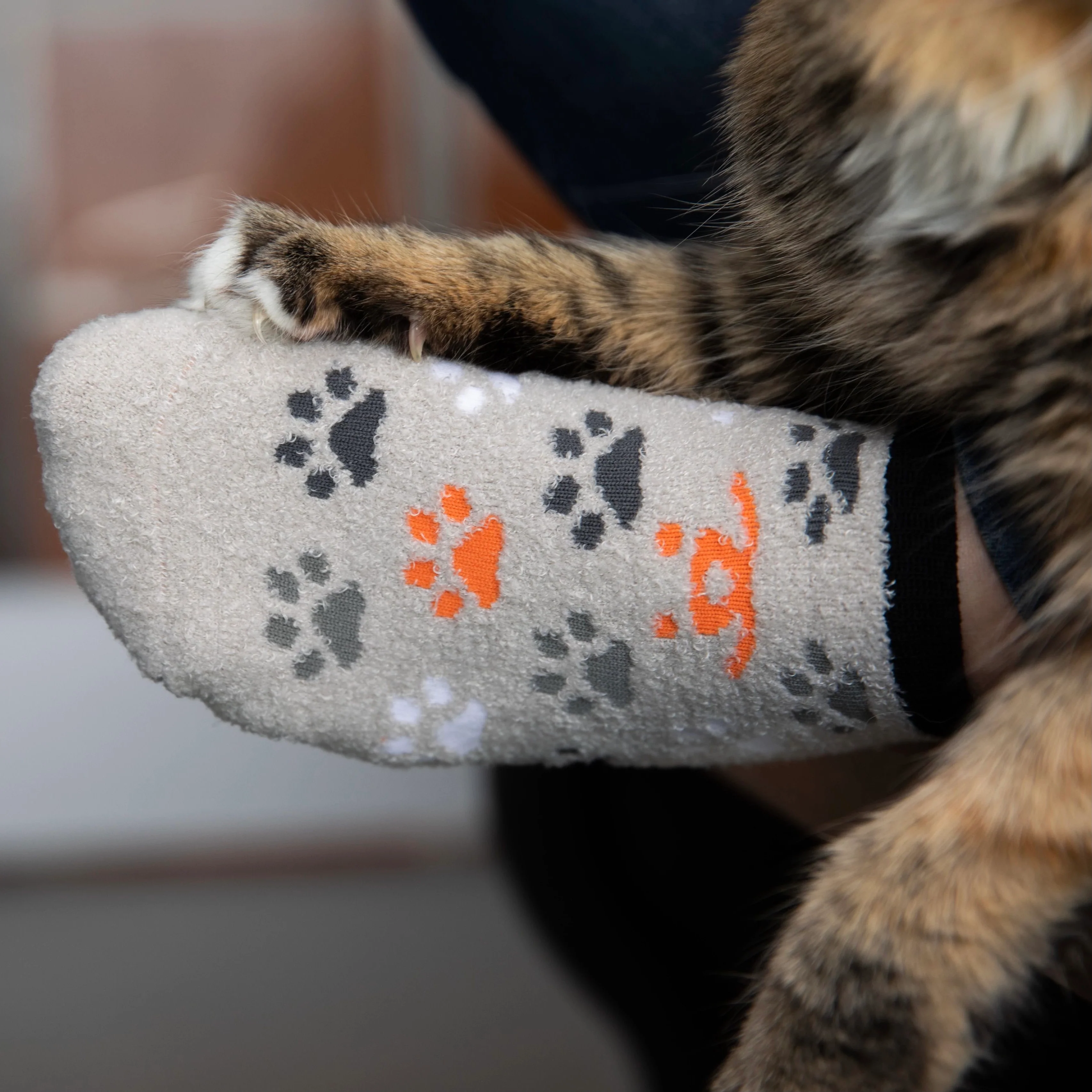 Paw Print Plush Ankle Socks - Image 4