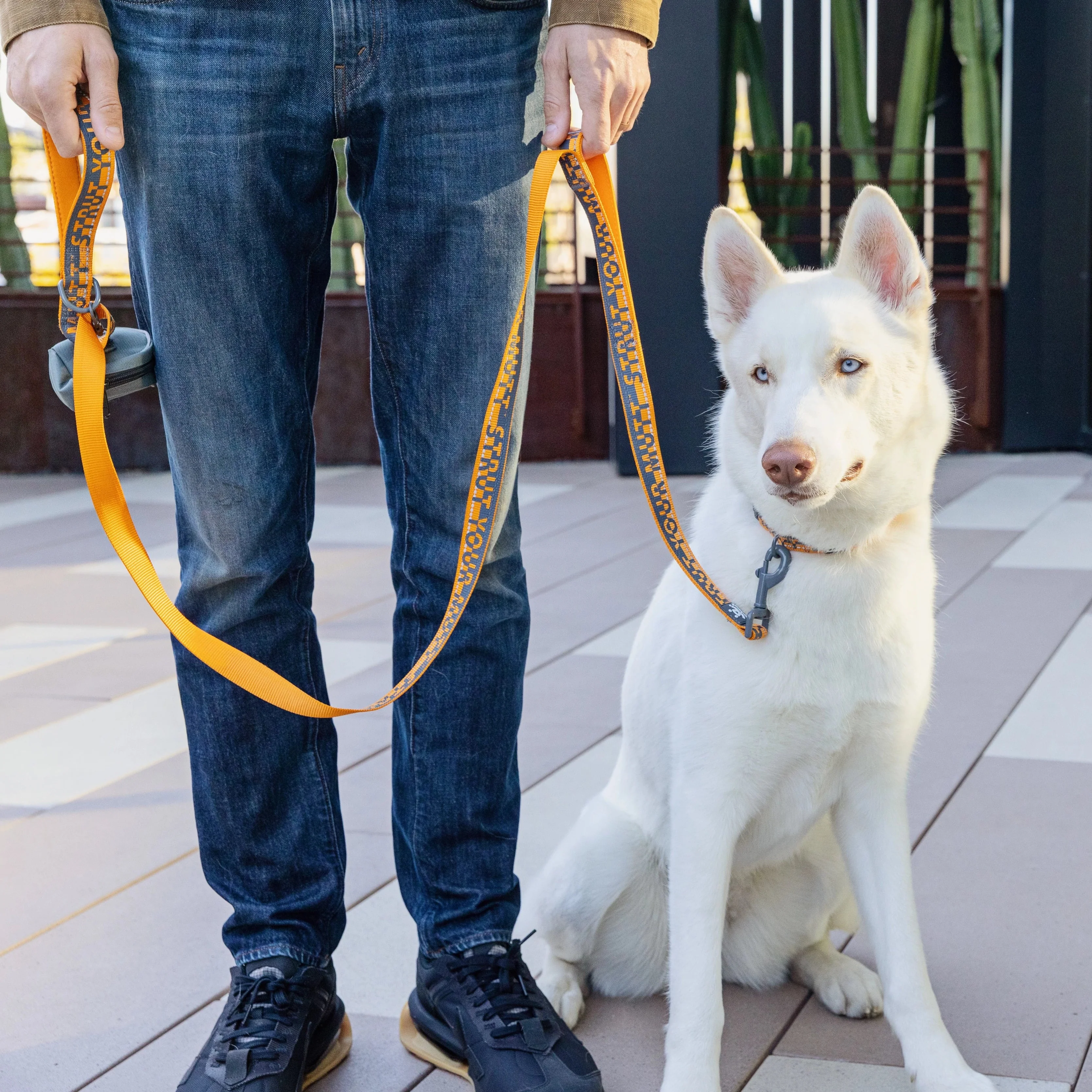 6 ft Dual Handle Comfort Leash - Image 6