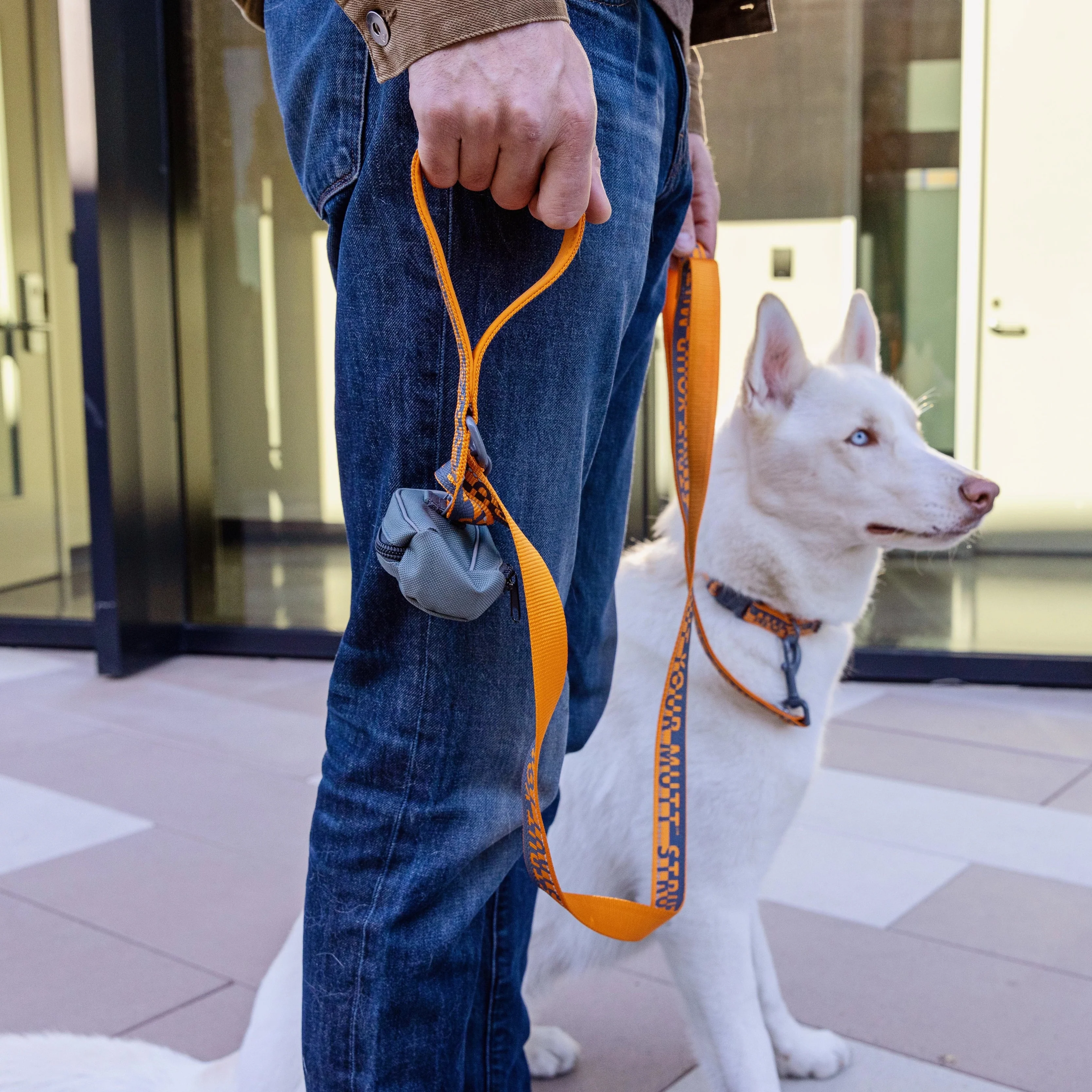 6 ft Dual Handle Comfort Leash - Image 7