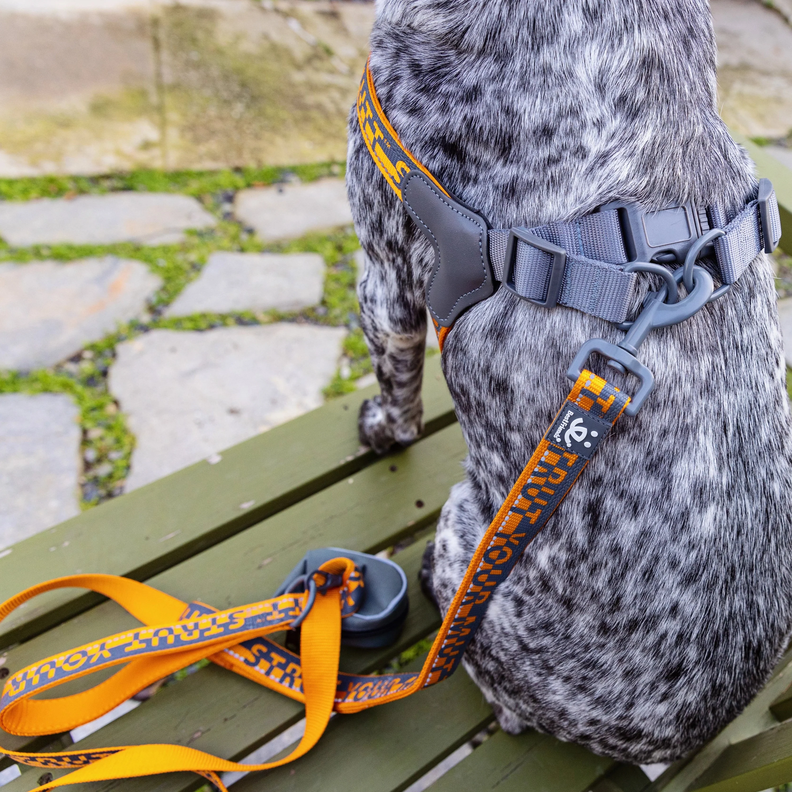 6 ft Dual Handle Comfort Leash - Image 8