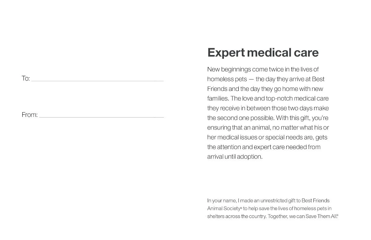 Expert Medical Care - Image 4
