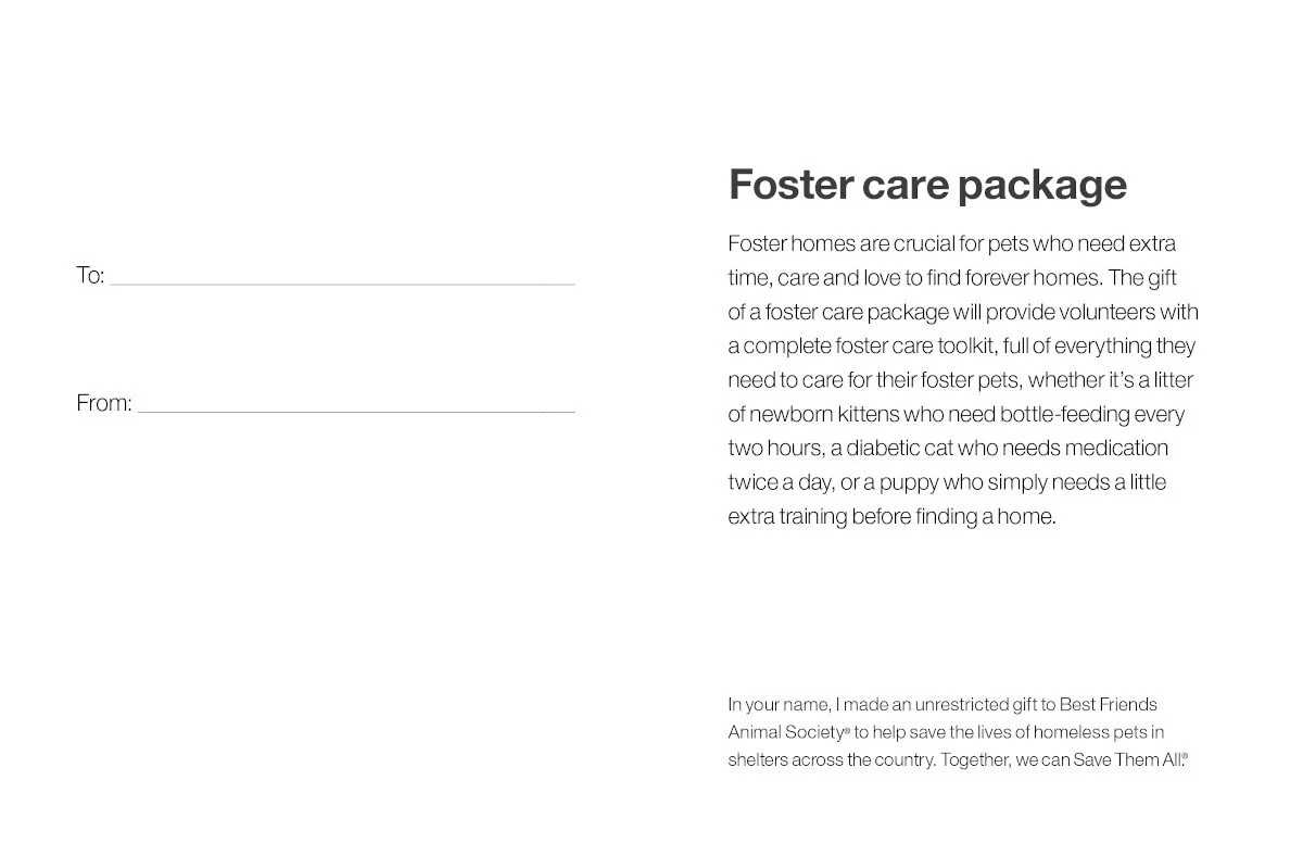Foster Care Package - Image 4