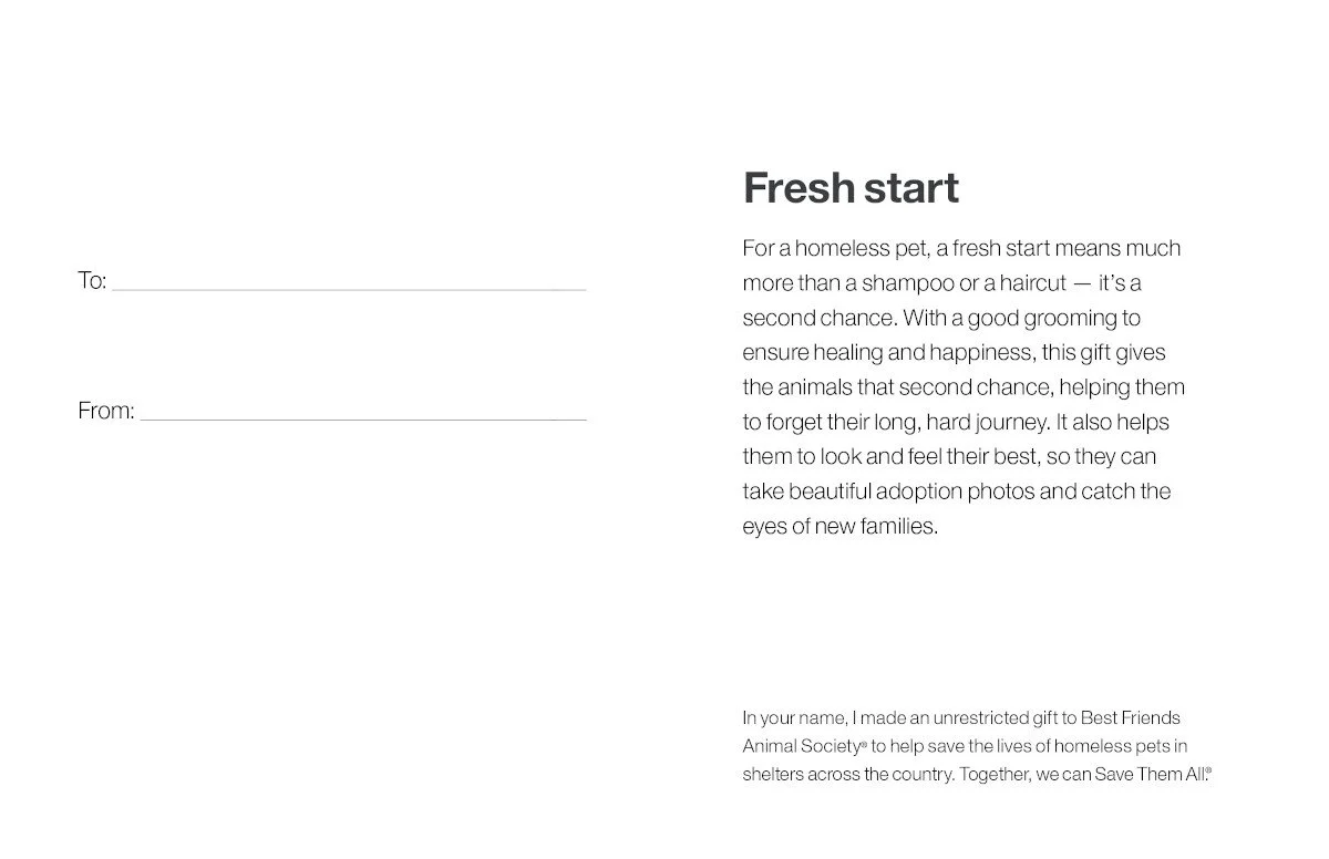 Fresh Start - Image 4