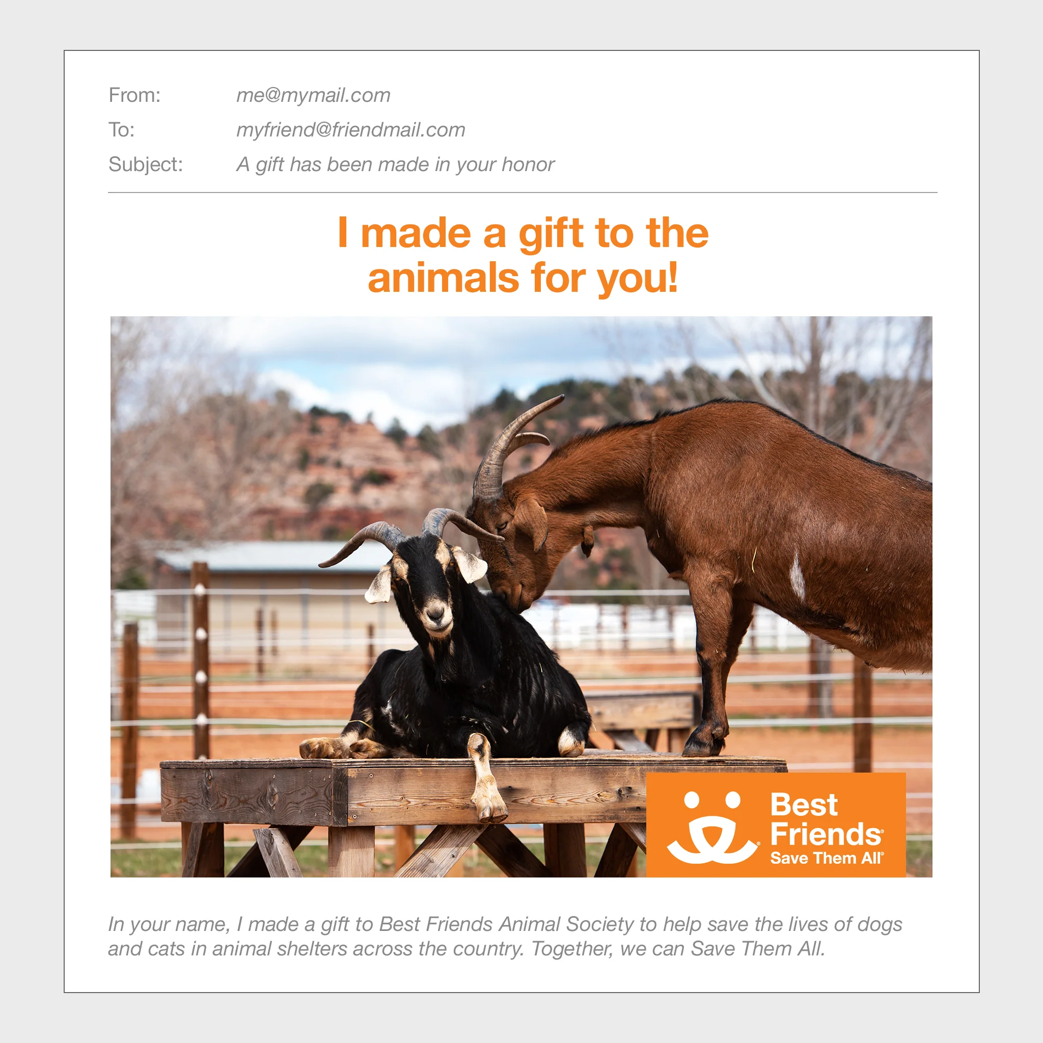 Goat Care Package - Image 2