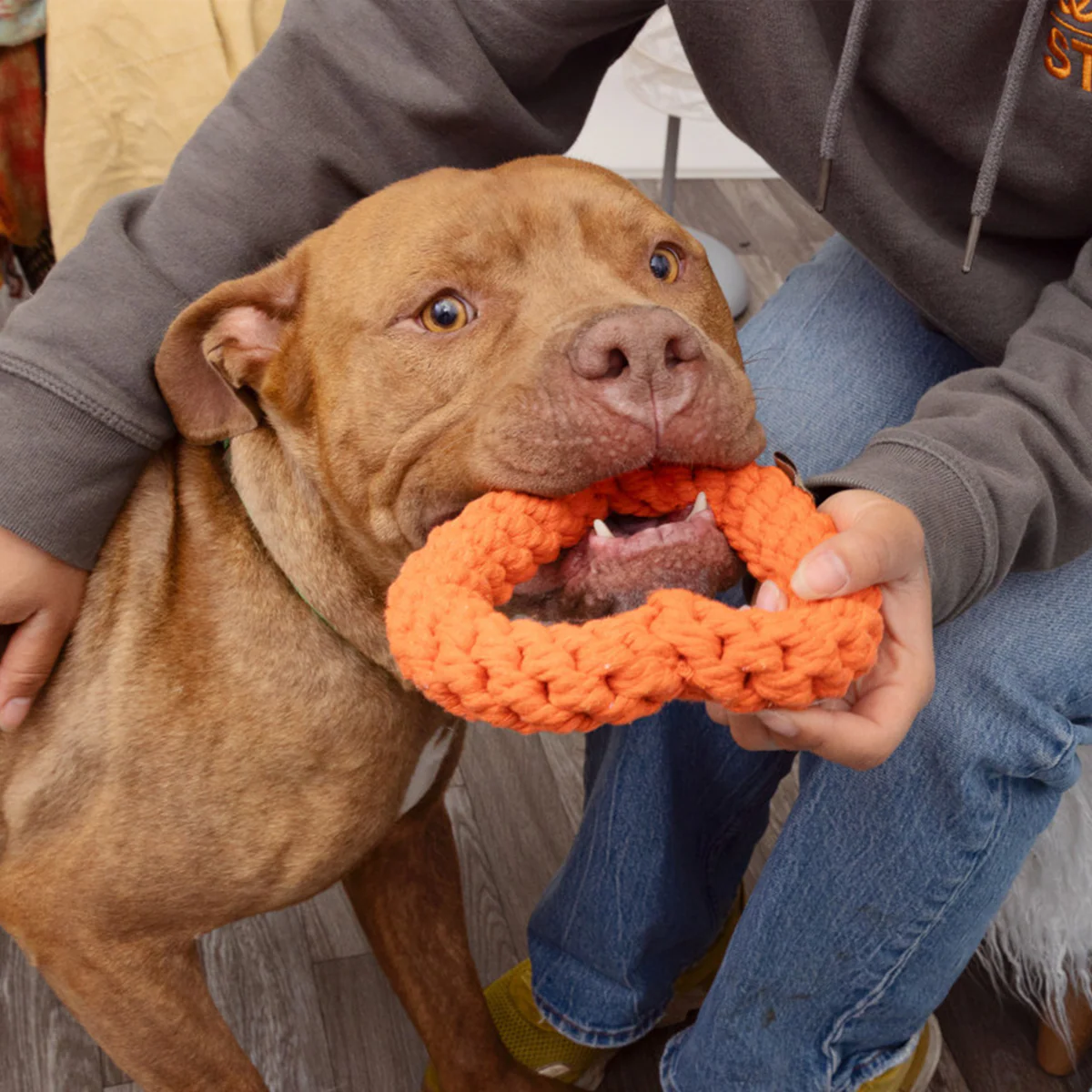 Heart Rope Toy - Image 3