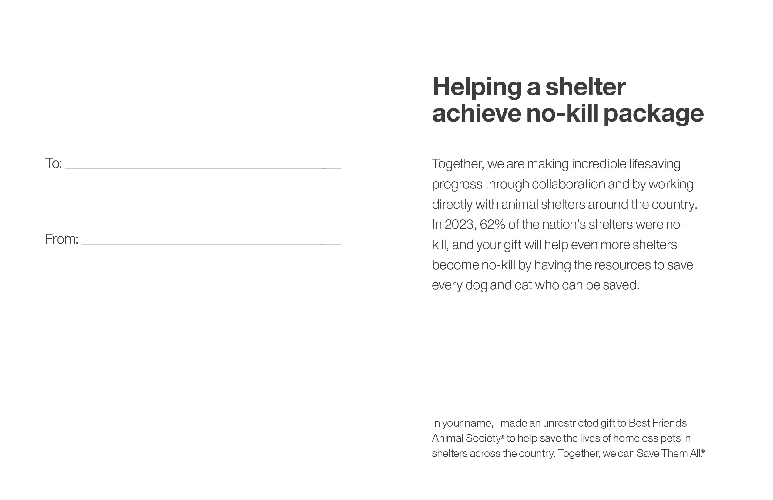Helping A Shelter Achieve No-Kill Package - Image 4