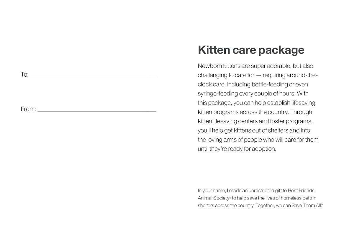 Kitten Care Package - Image 4