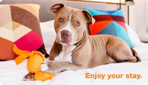 Lodging Gift Card - Image 3