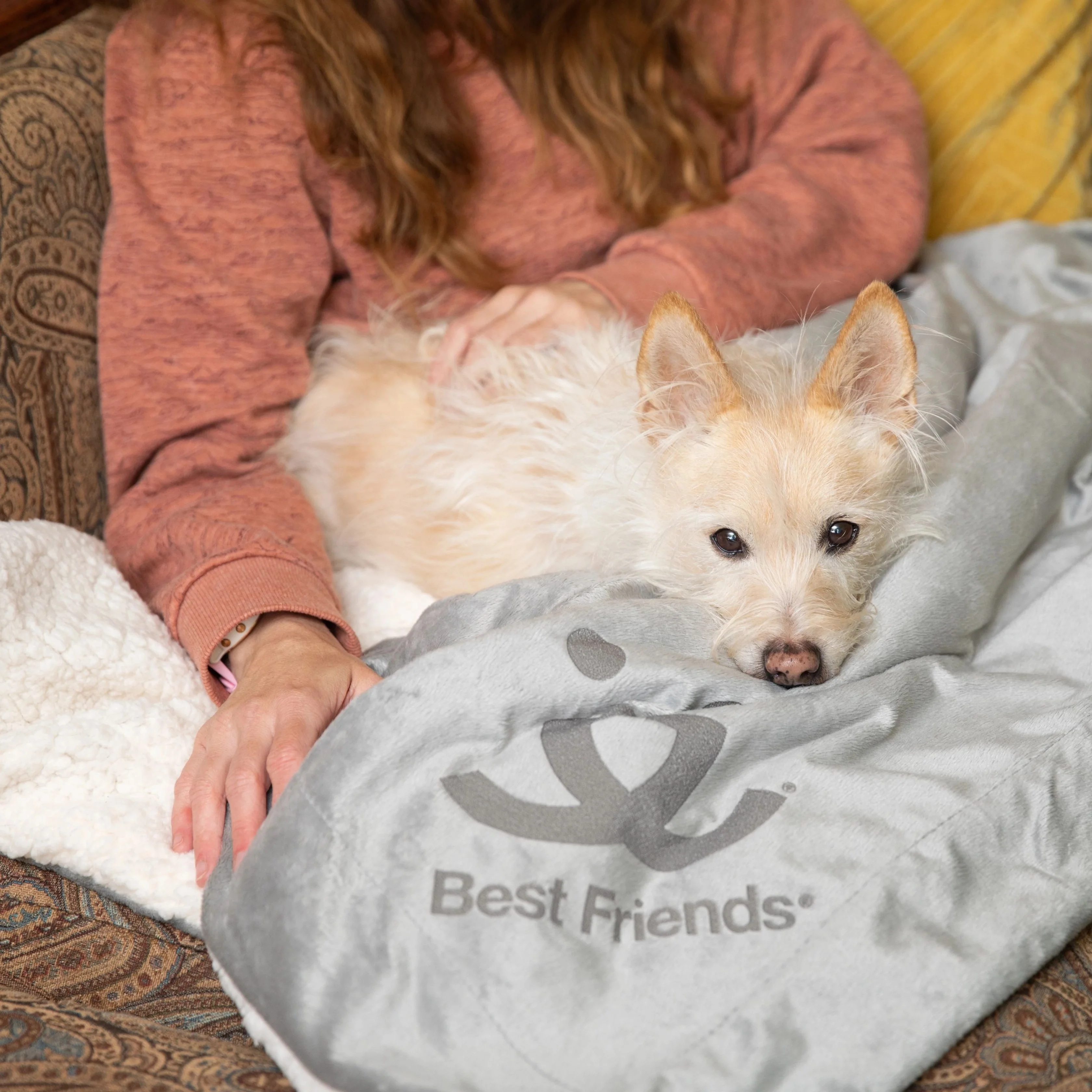 Luxe Sherpa Throw Blanket - Image 3