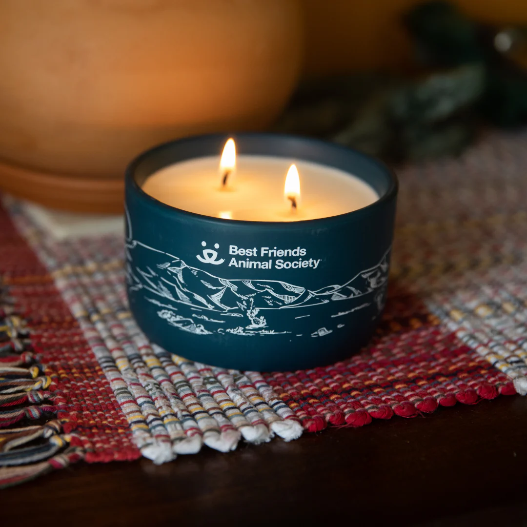 Natural 16 oz Soy Candle: Desert Dusk - Image 3