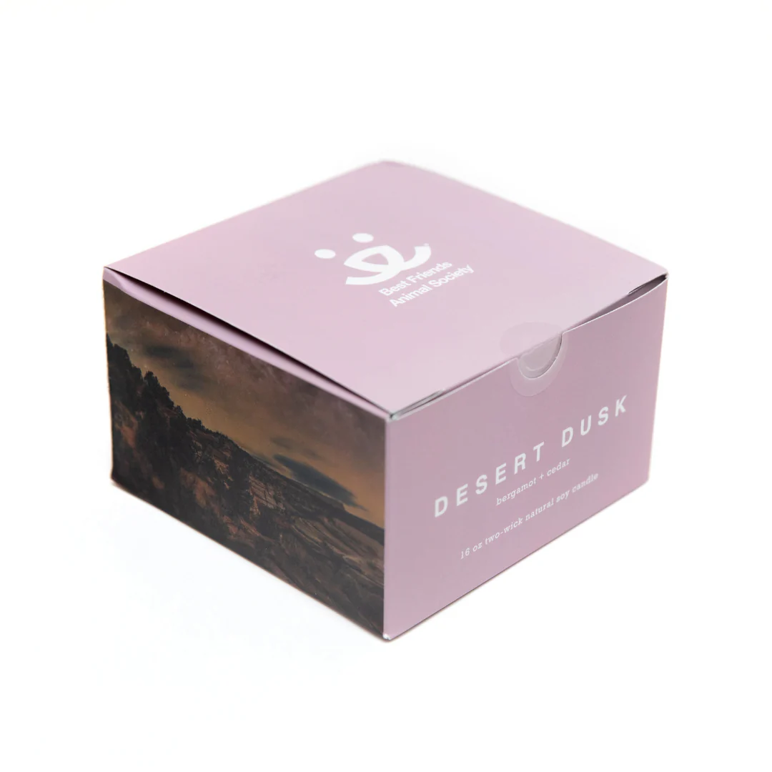 Natural 16 oz Soy Candle: Desert Dusk - Image 4