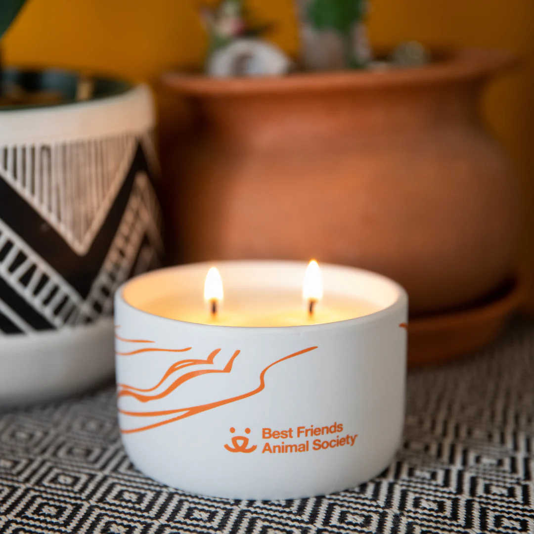 Natural 16 oz Soy Candle: Canyon Breeze - Image 3