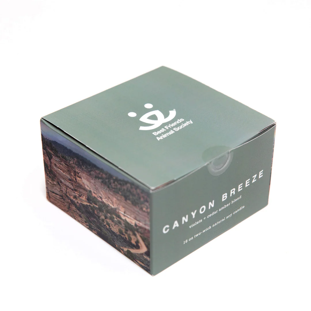 Natural 16 oz Soy Candle: Canyon Breeze - Image 5