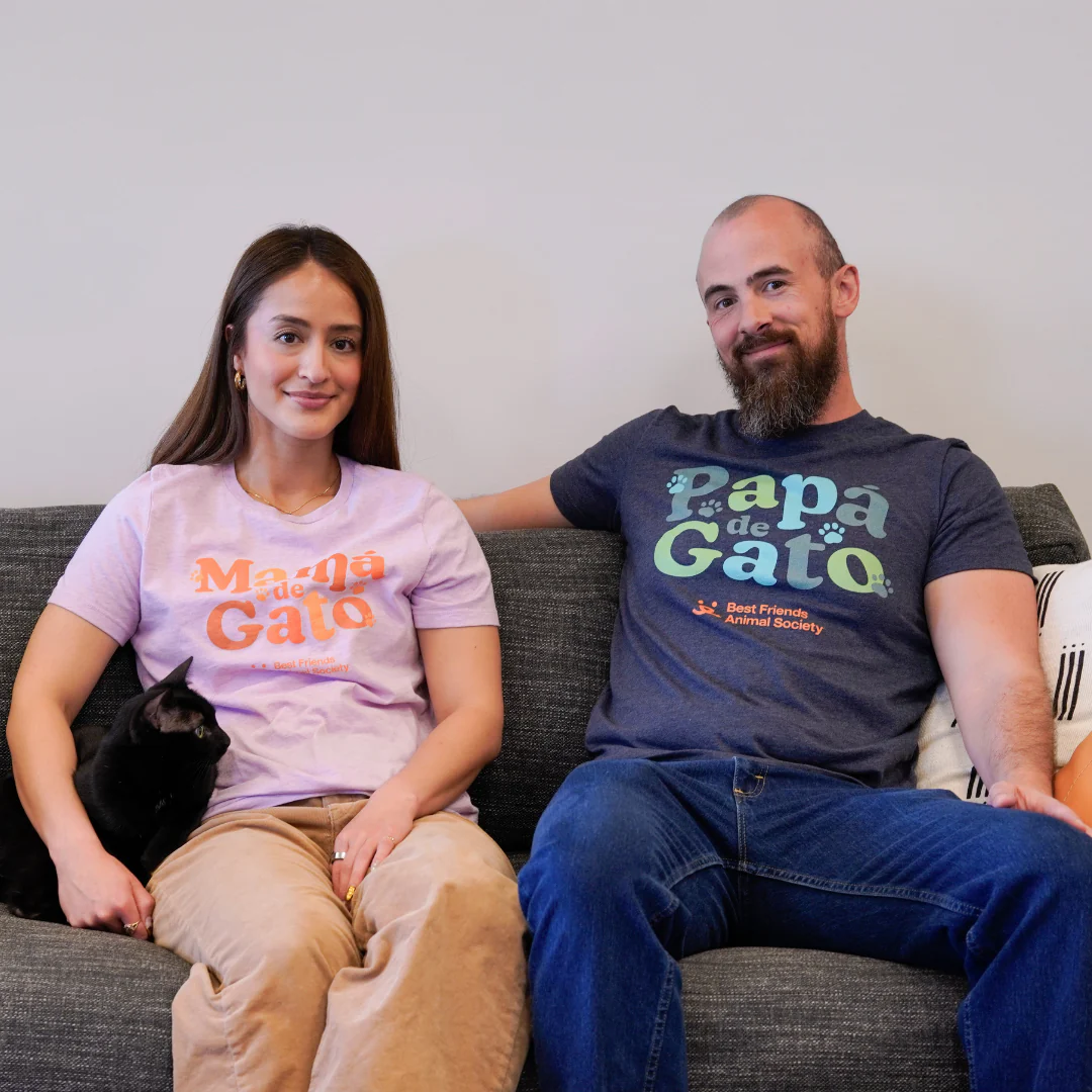 Papa de Gato Unisex T-shirt - Image 4