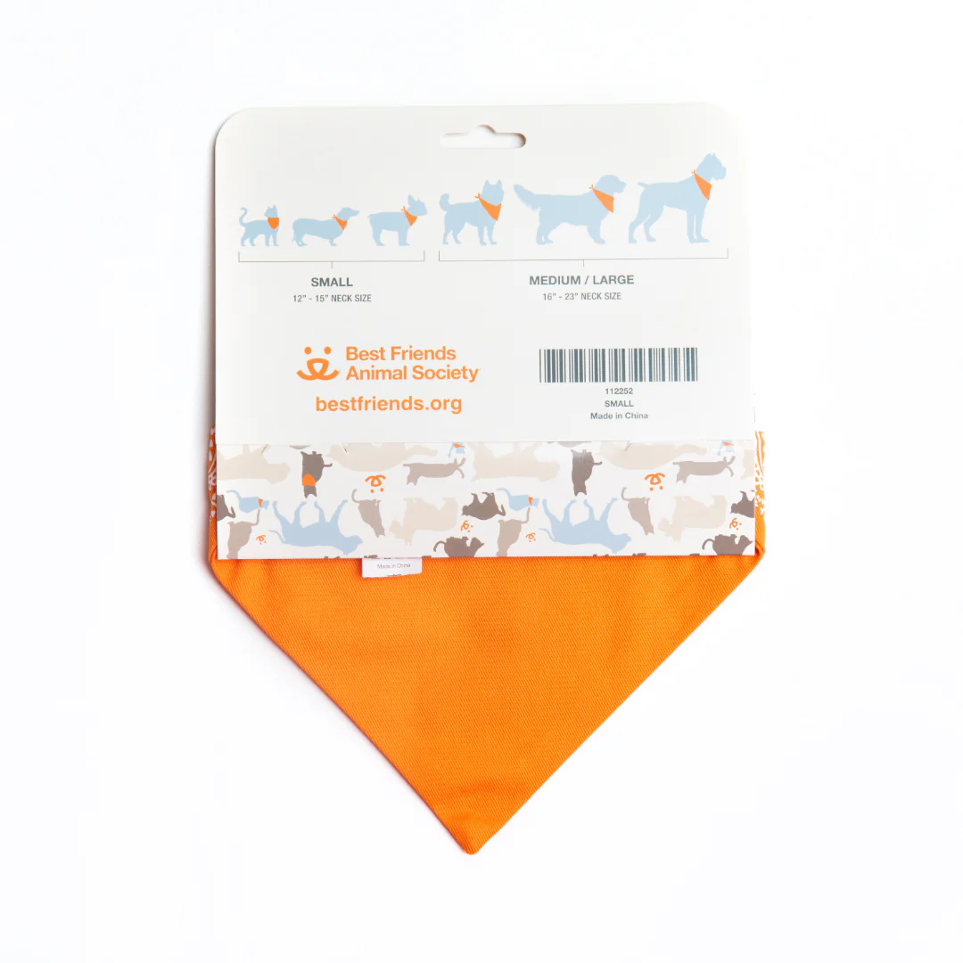 Paisley Pet Bandana - Image 4