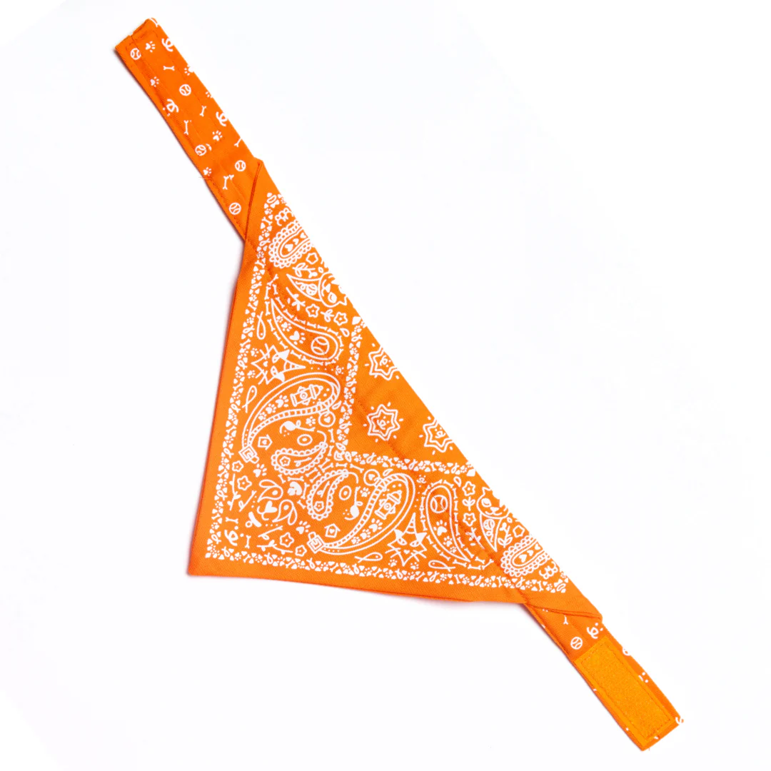 Paisley Pet Bandana - Image 5