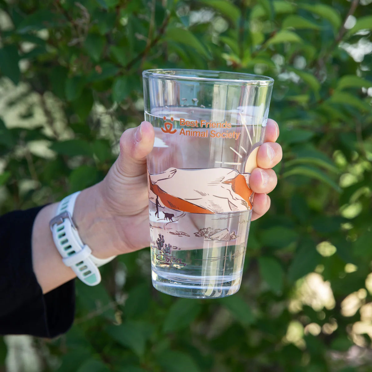 Pint Glass Pair - Image 7