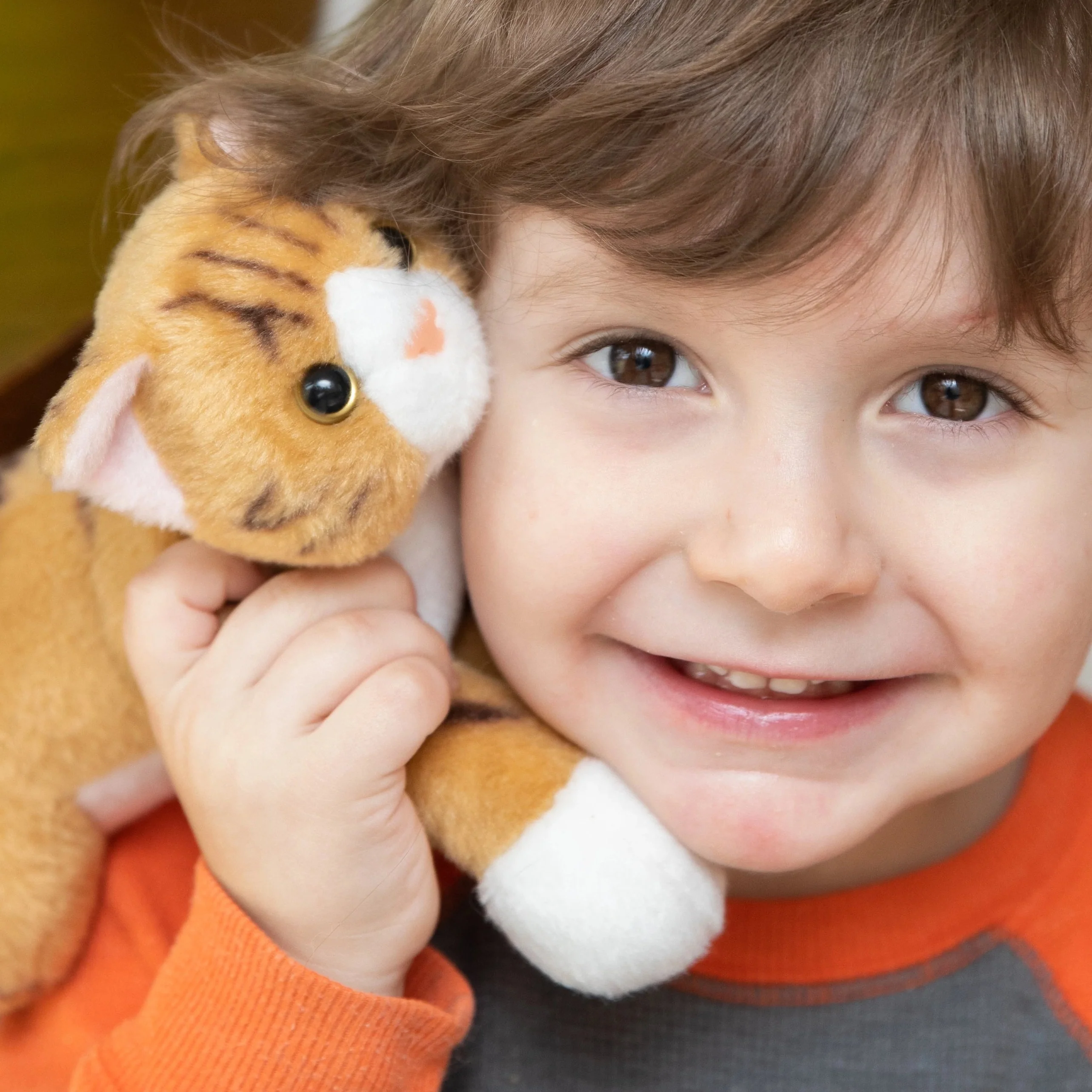 Community Cat Plush Toy - Image 9