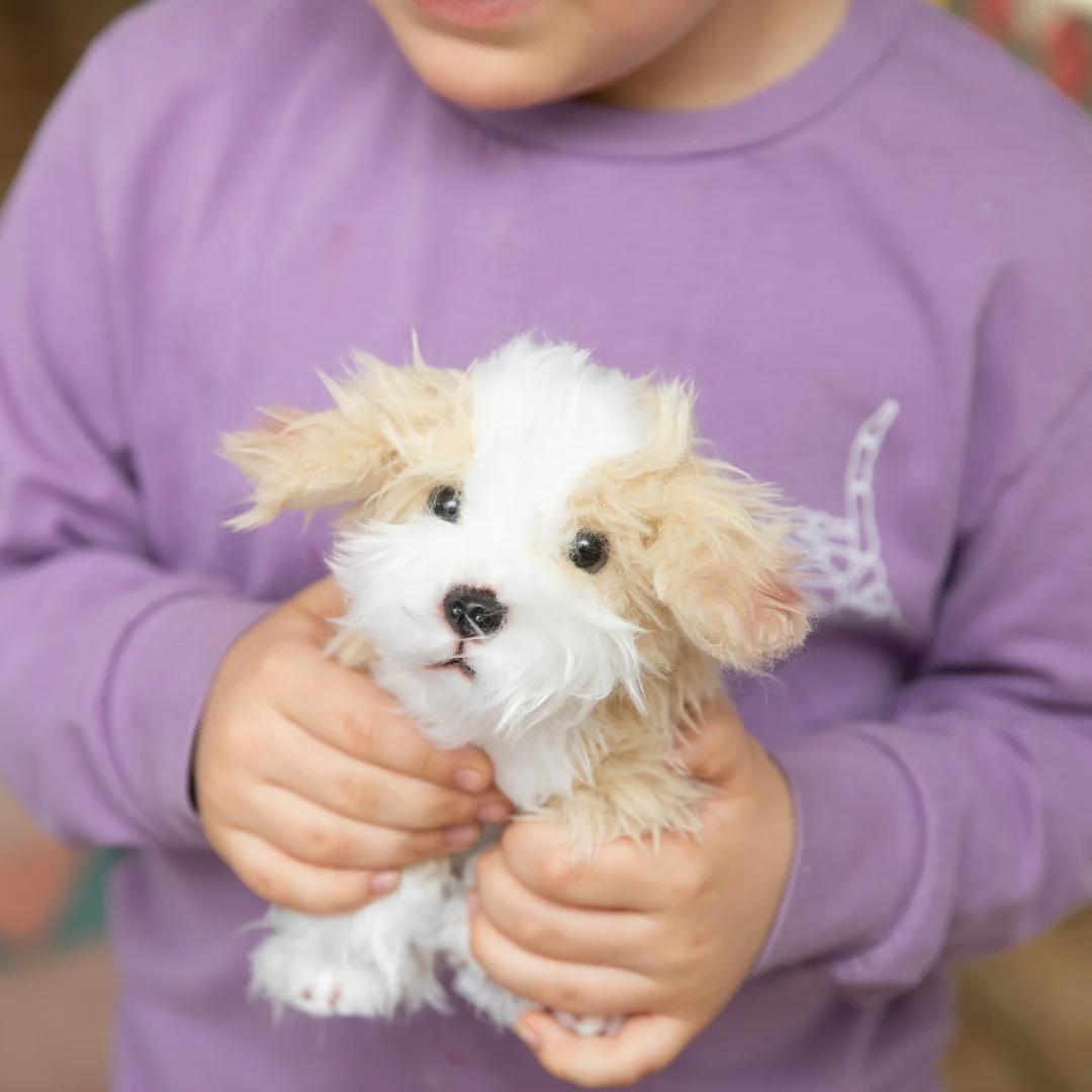 Plush Puppy Mill Dog: Phil - Image 2