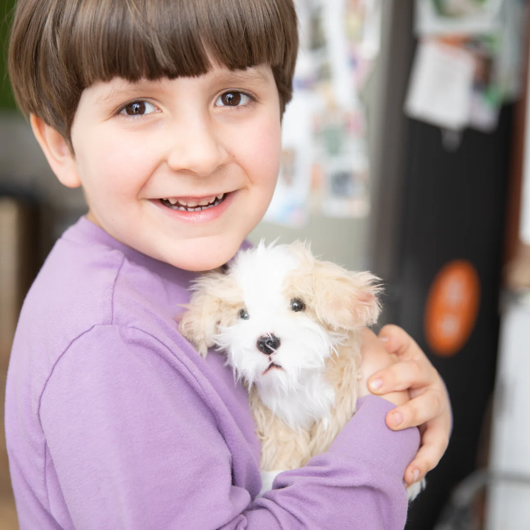 Plush Puppy Mill Dog: Phil - Image 5