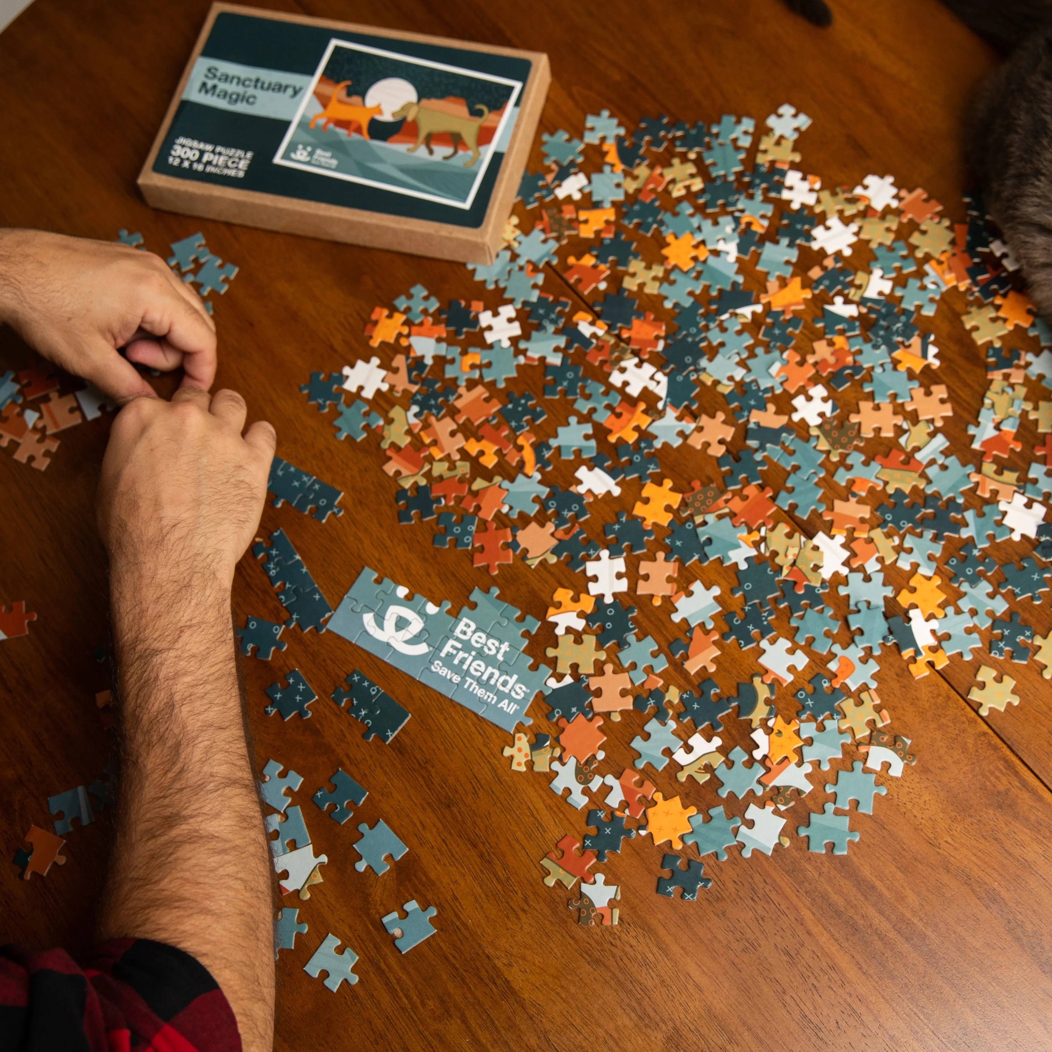 Sanctuary Magic 300 pc Puzzle - Image 4