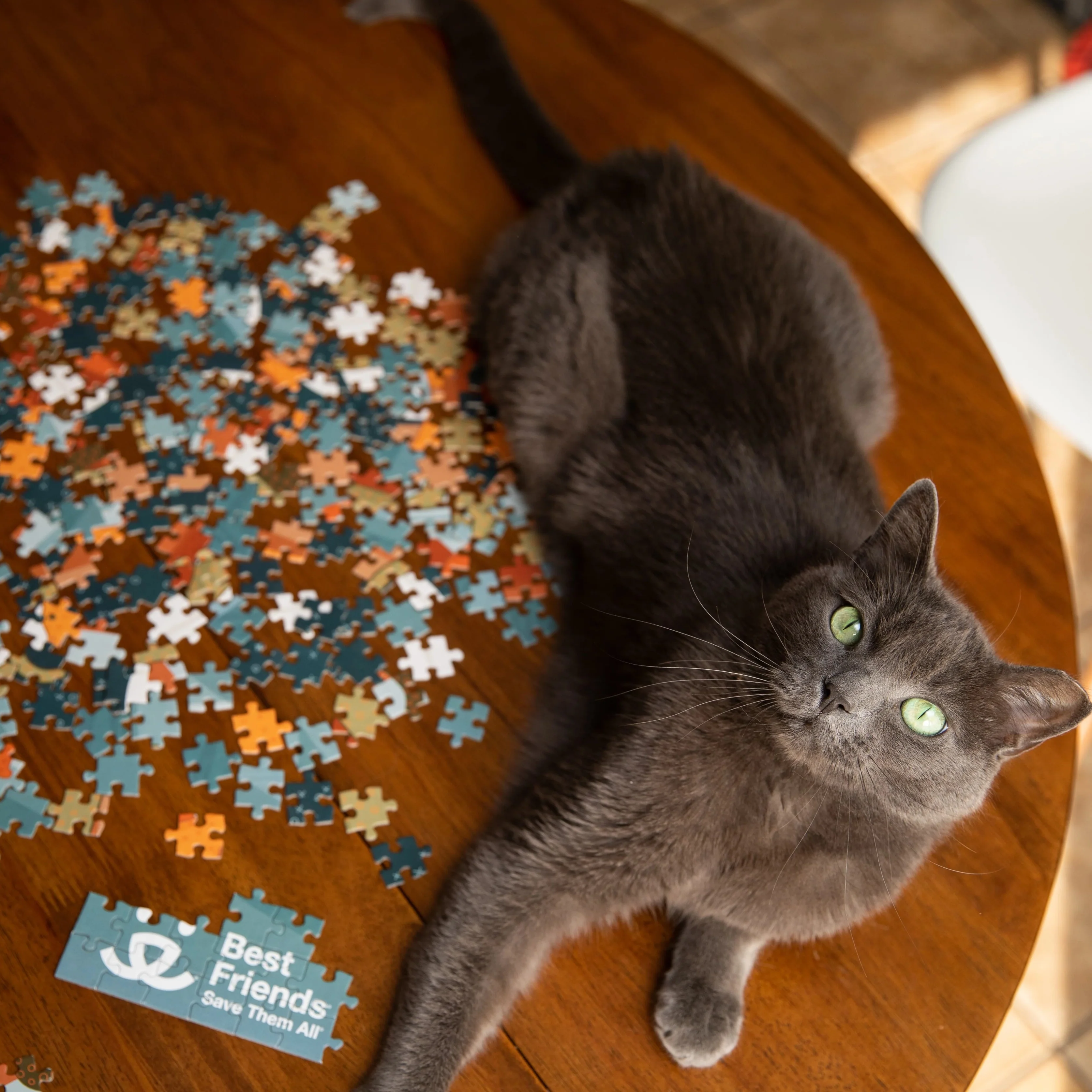 Sanctuary Magic 300 pc Puzzle - Image 5