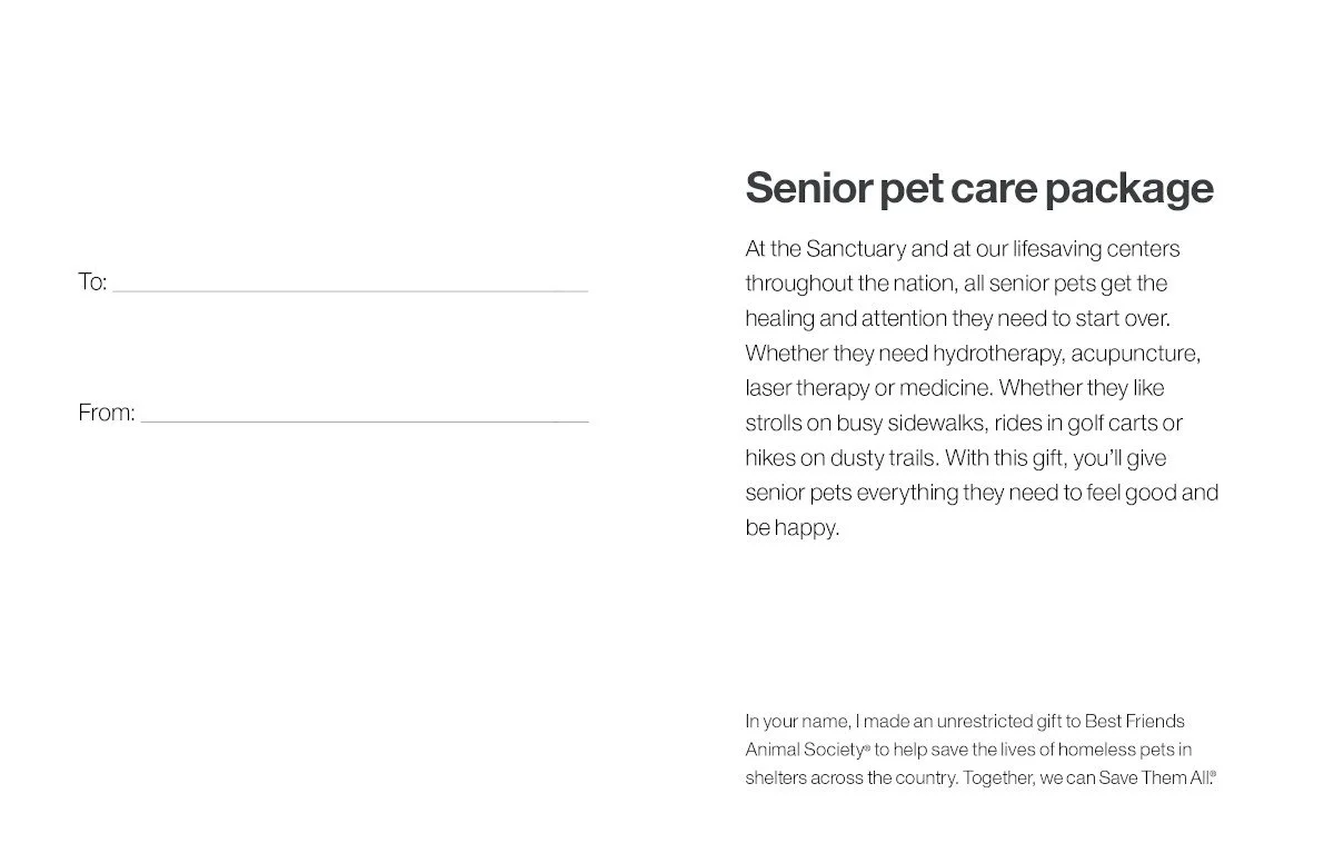 Senior Pet Care Package - Image 4