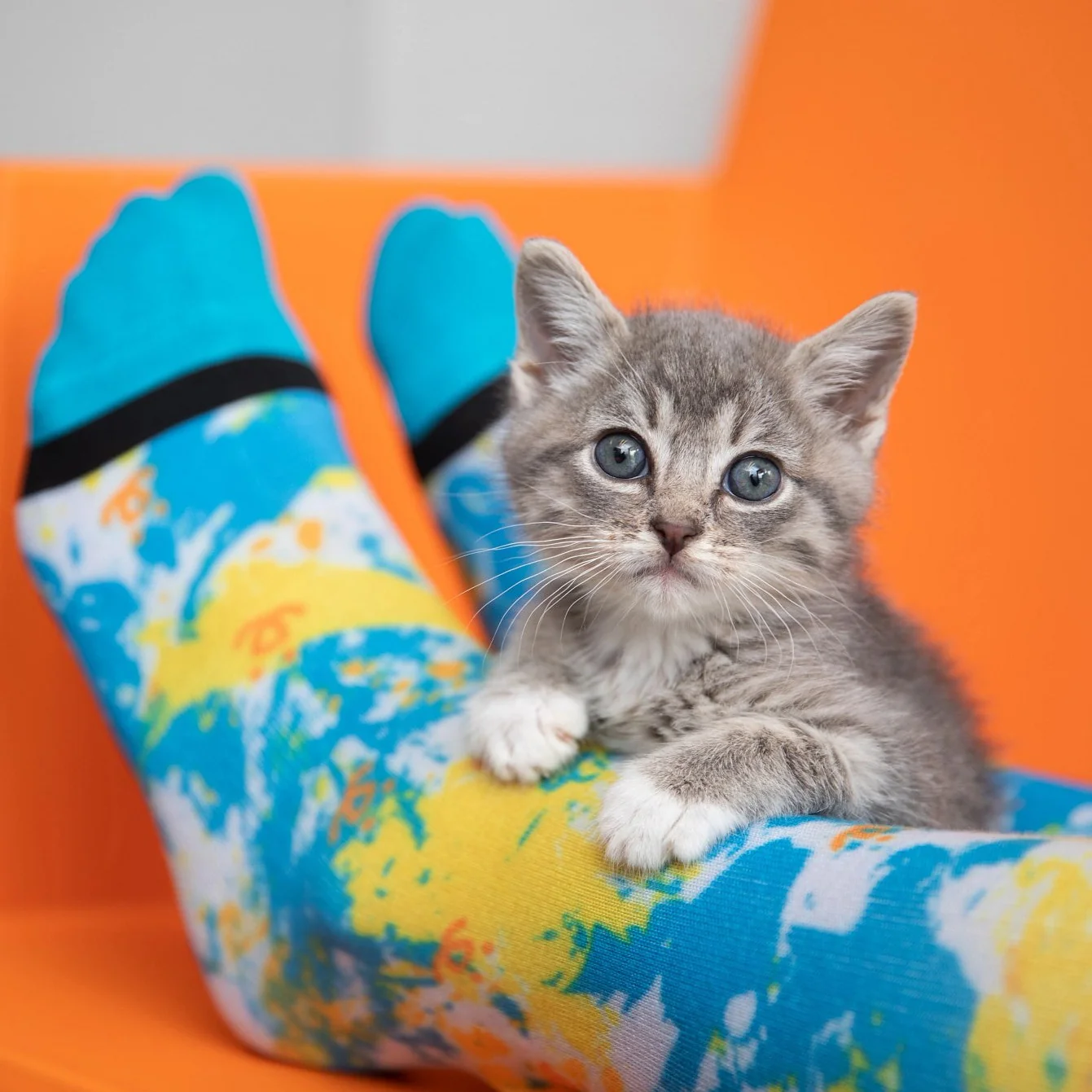 Animal Art Crew Socks - Image 10