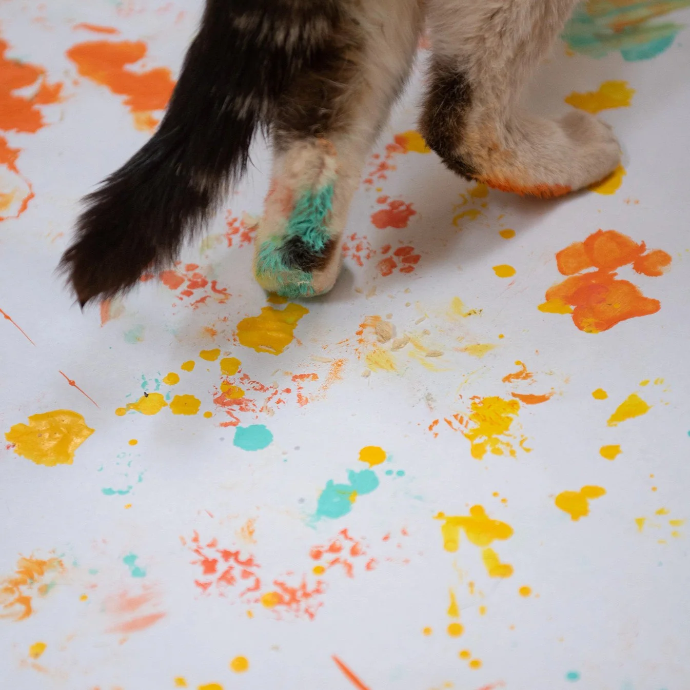 Animal Art Crew Socks - Image 12