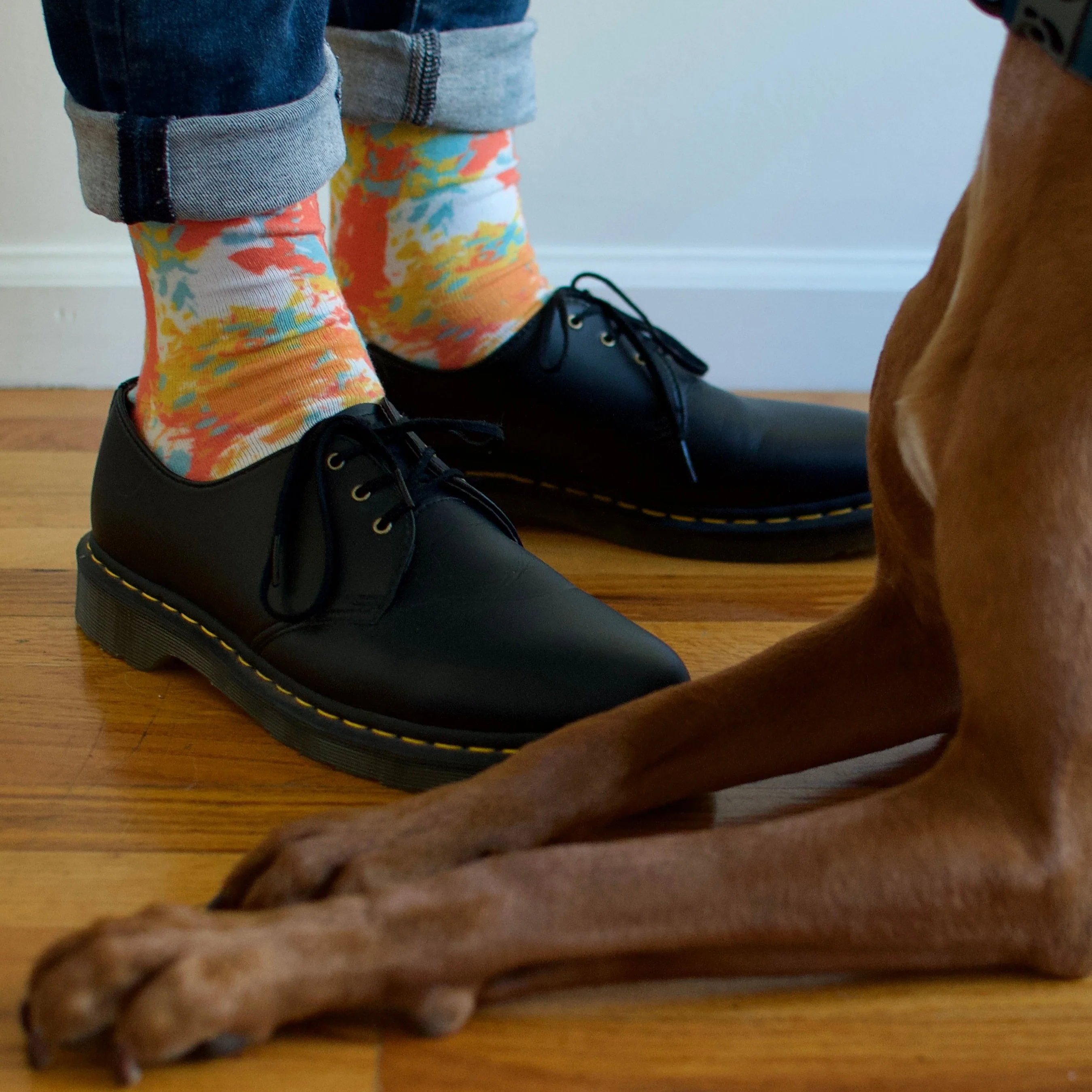 Animal Art Crew Socks - Image 5
