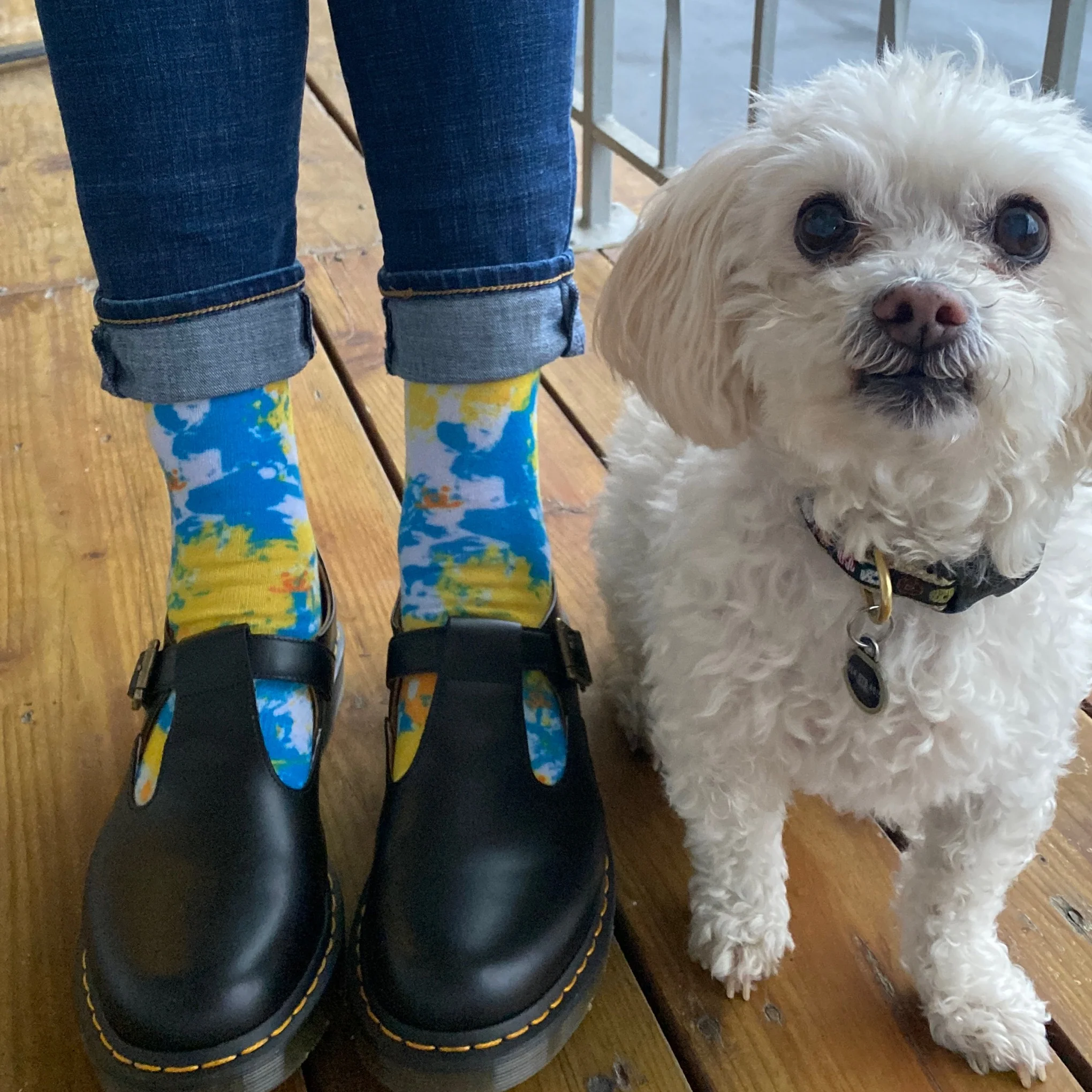 Animal Art Crew Socks - Image 7