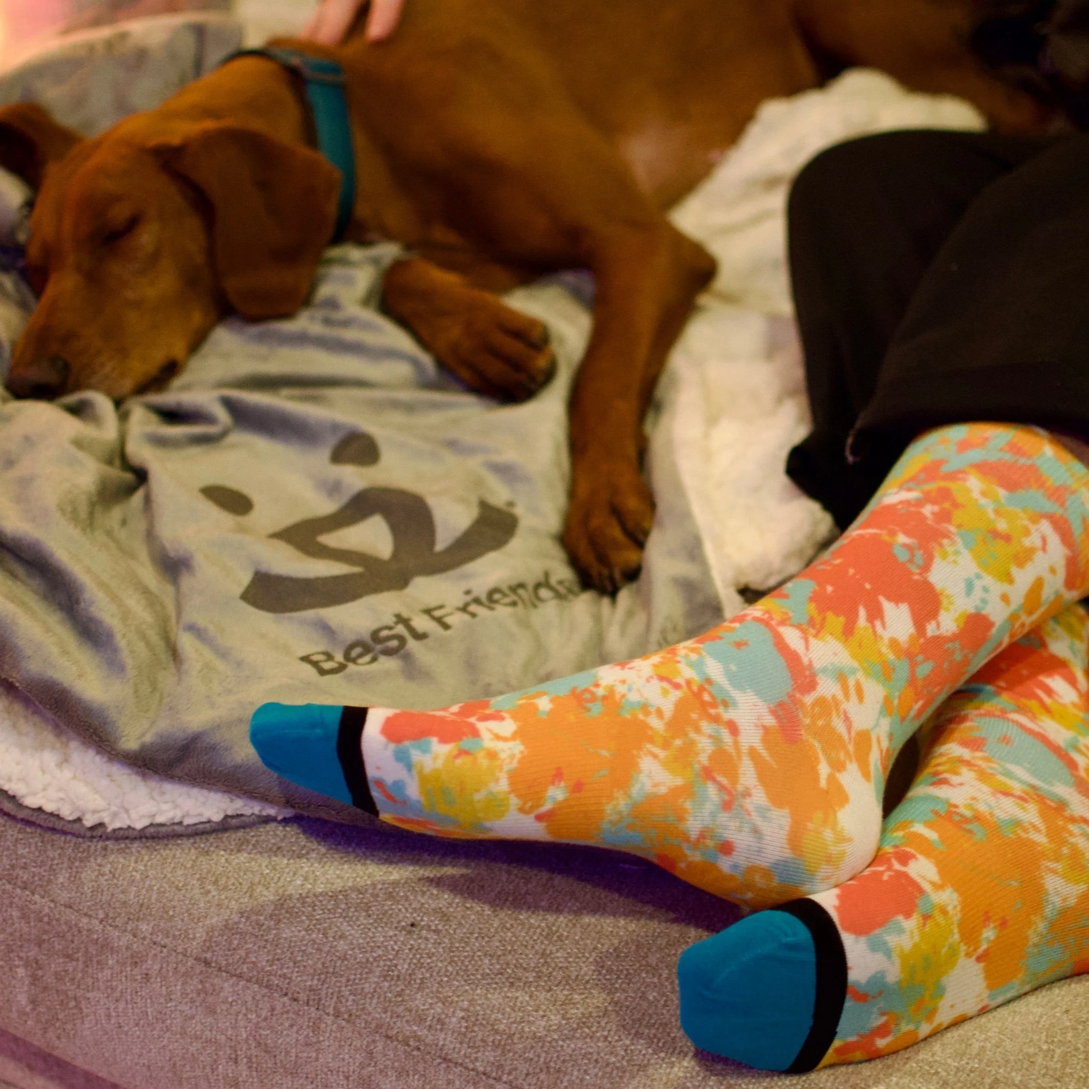 Animal Art Crew Socks - Image 9