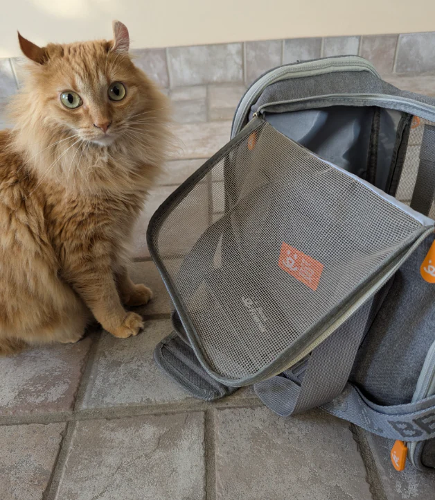 Soft Sided Best Friends Pet Carrier - Image 5