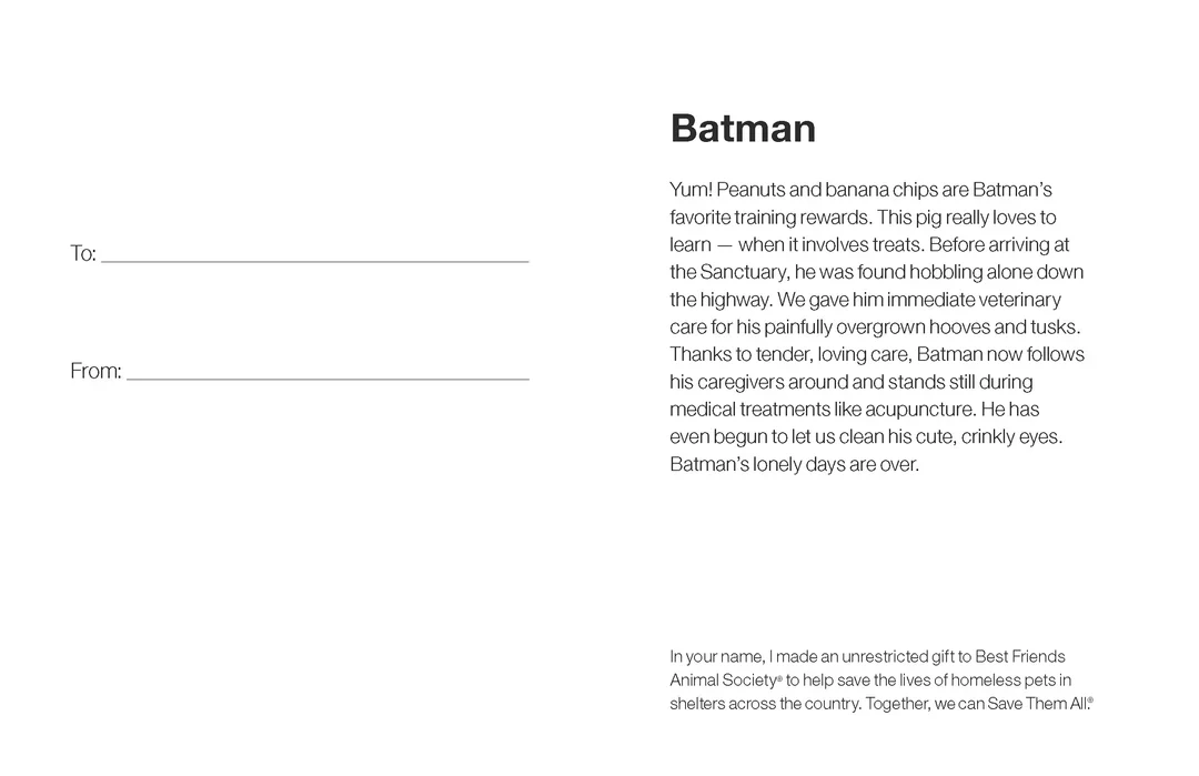 Sponsor Batman - Image 5