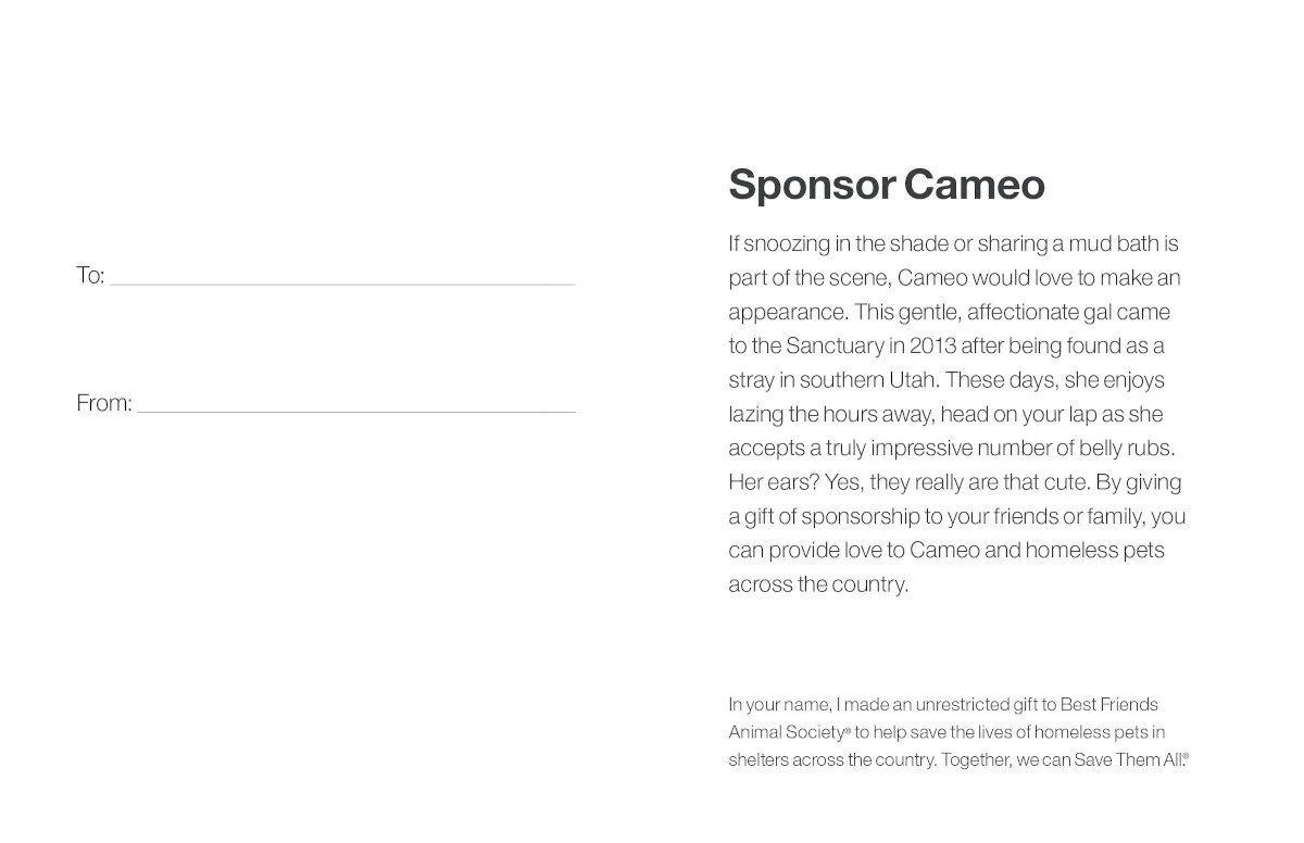 Sponsor Cameo - Image 5