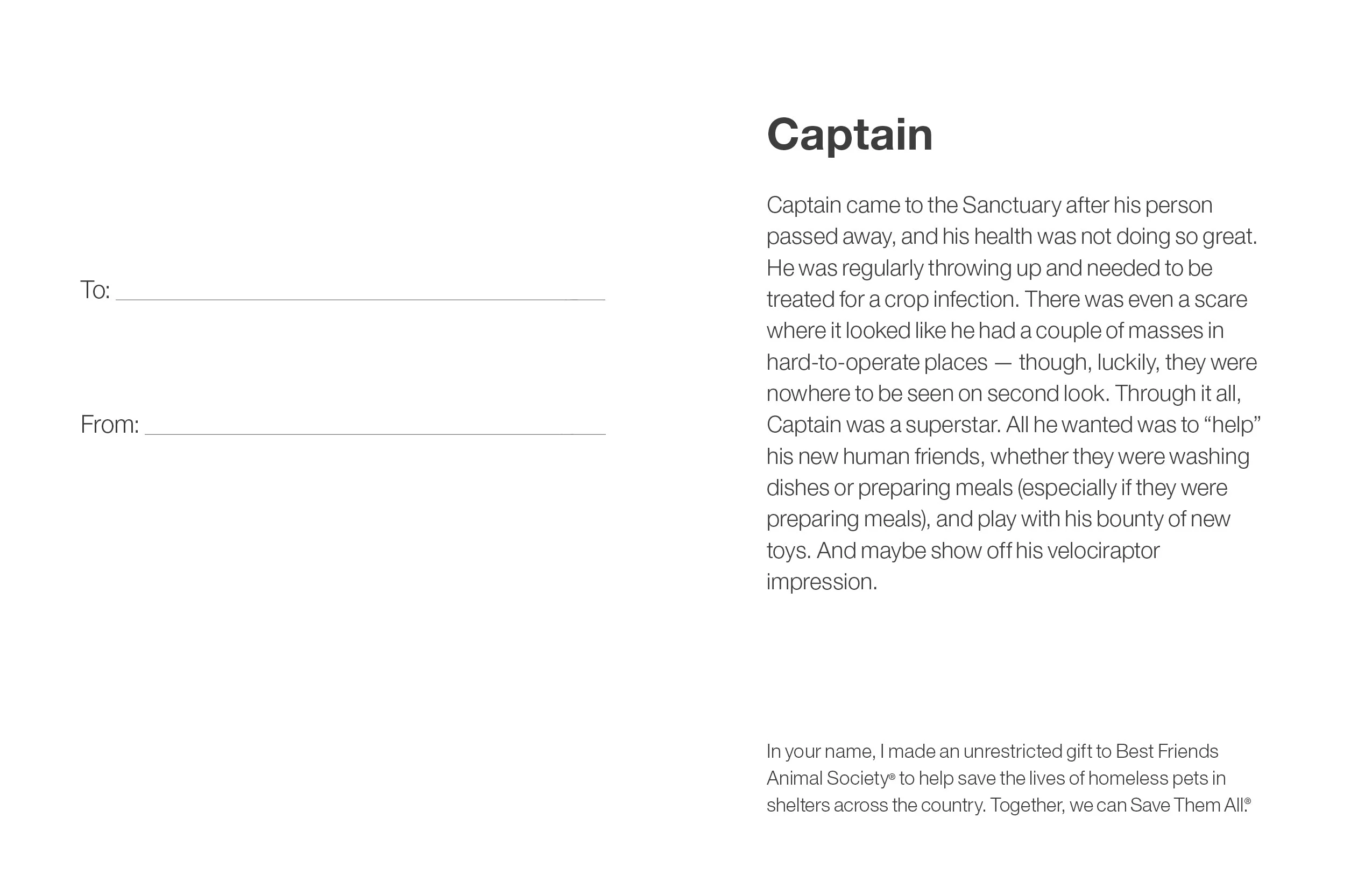 Sponsor Captain - Image 5