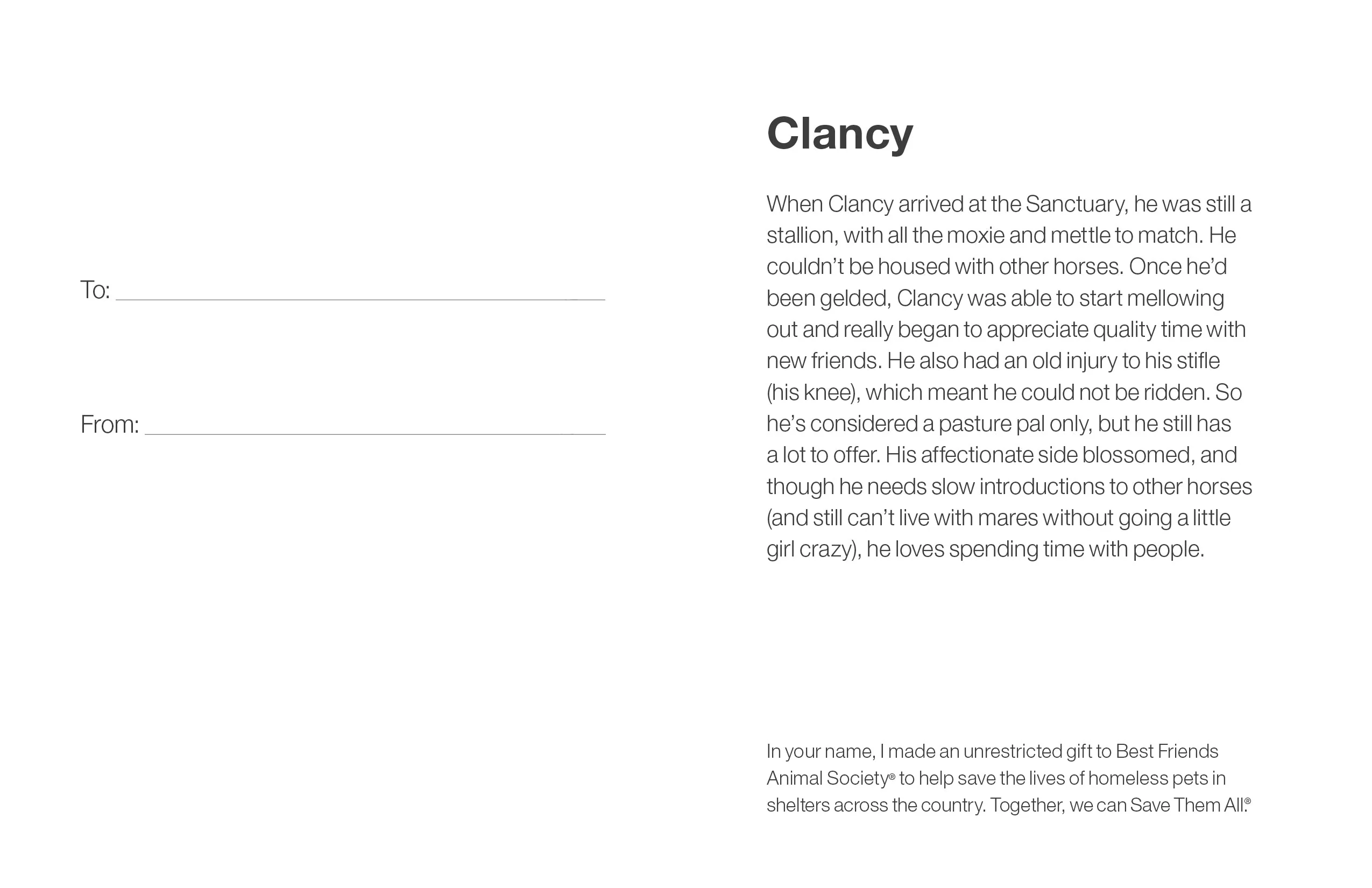 Sponsor Clancy - Image 5