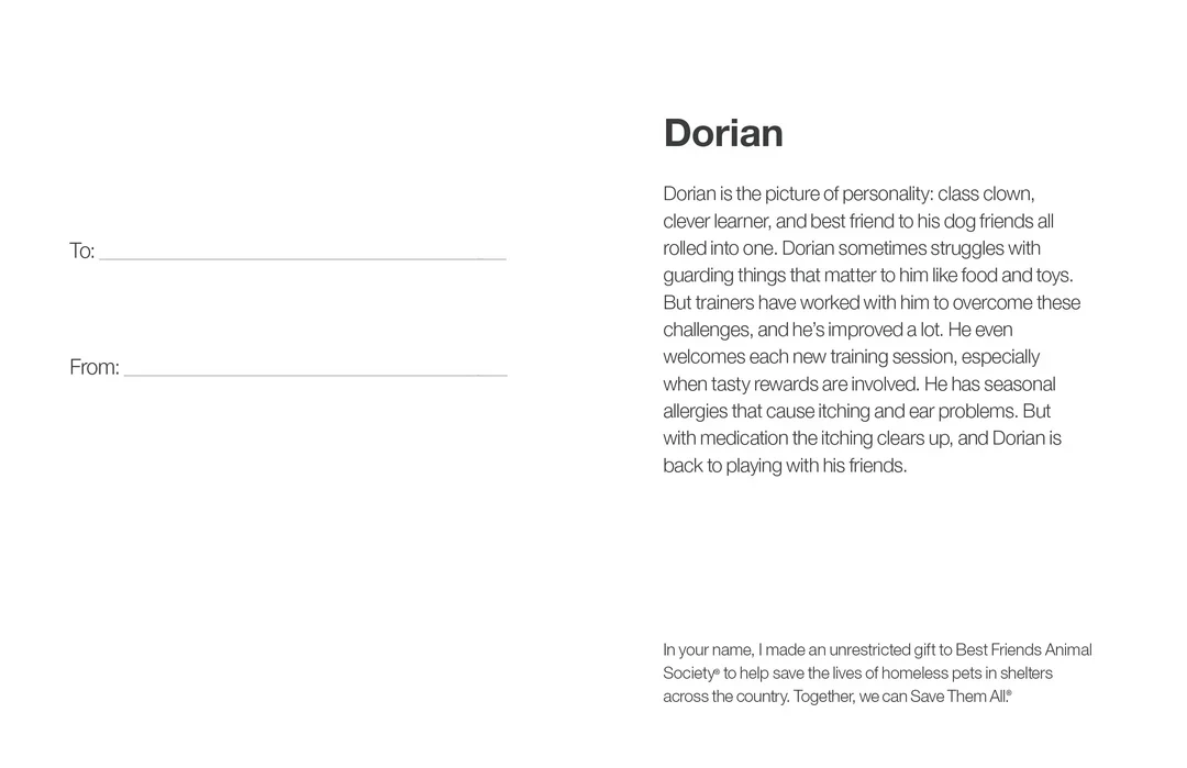 Sponsor Dorian - Image 5