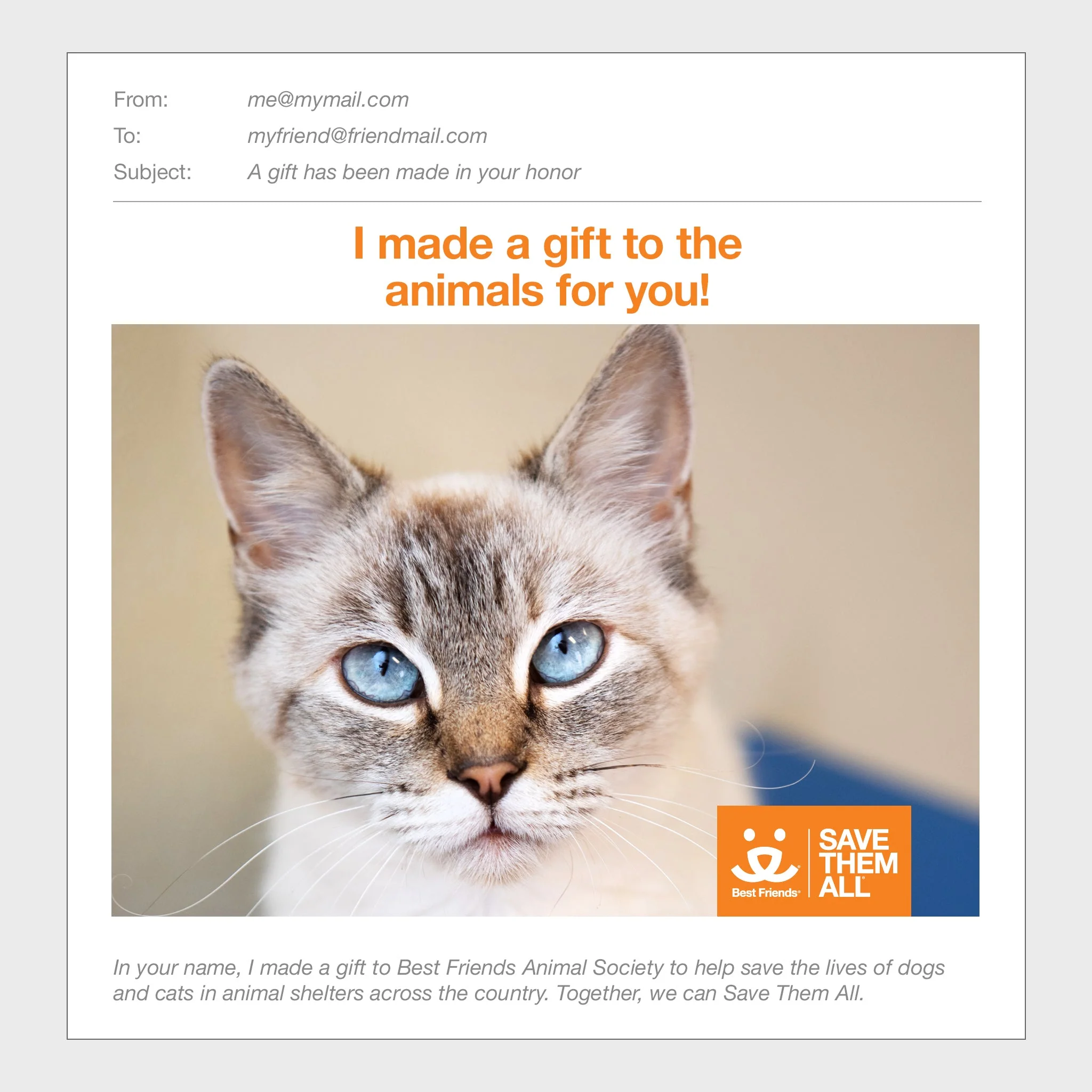 (ARCHIVED) Sponsor Egypt - Image 3