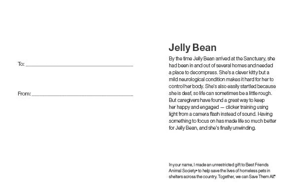 Sponsor Jelly Bean - Image 5
